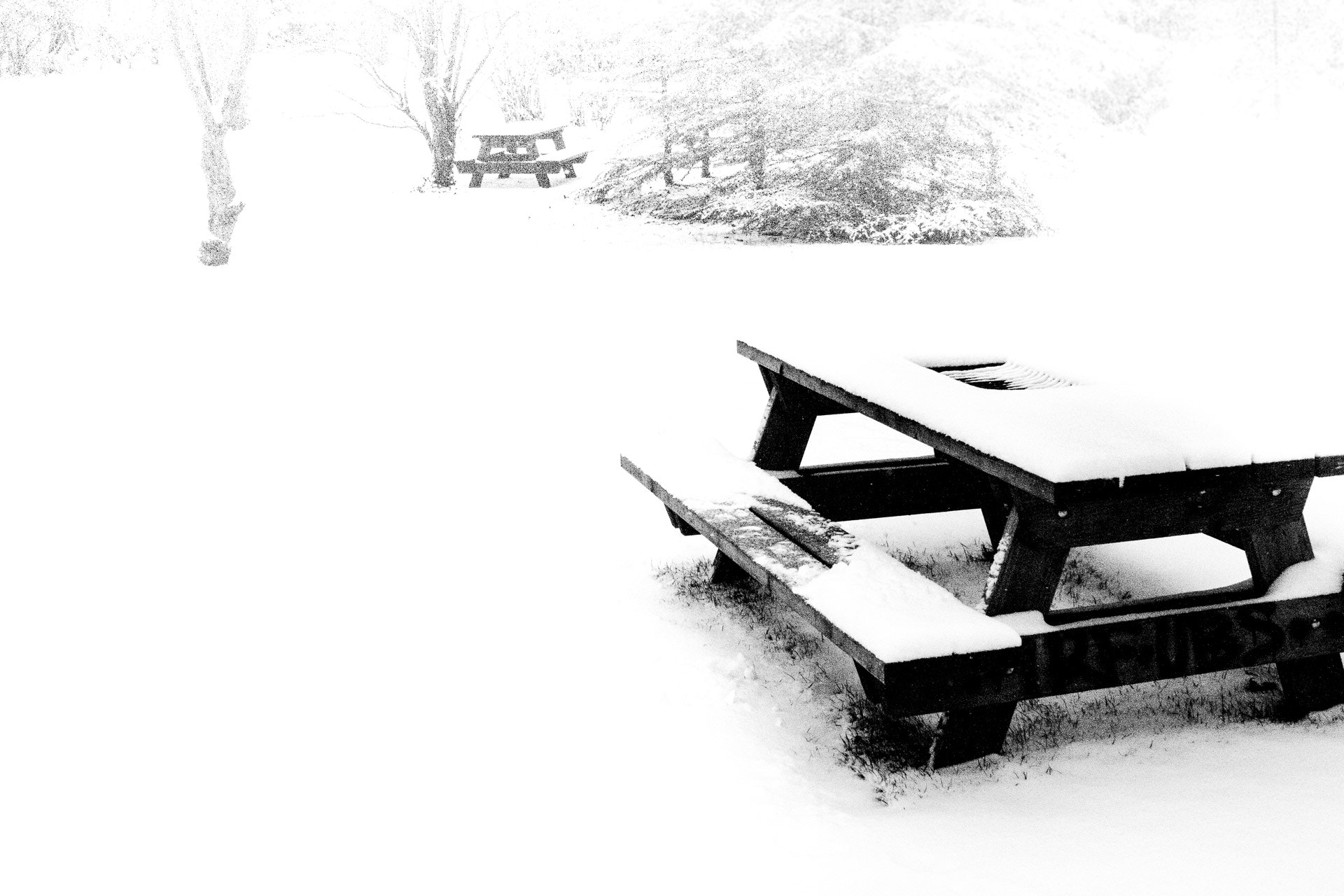 Canon EF 28-90mm f/4-5.6 sample photo. Cold seat photography