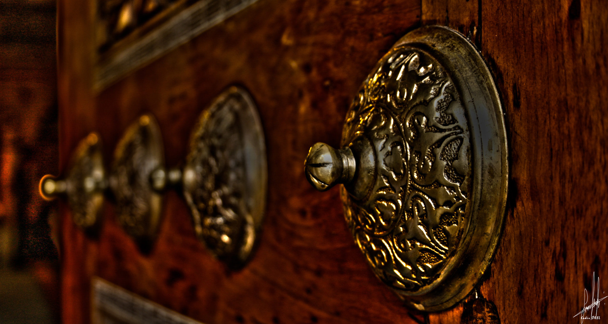 Canon EOS 500D (EOS Rebel T1i / EOS Kiss X3) sample photo. Kadir örel () photography