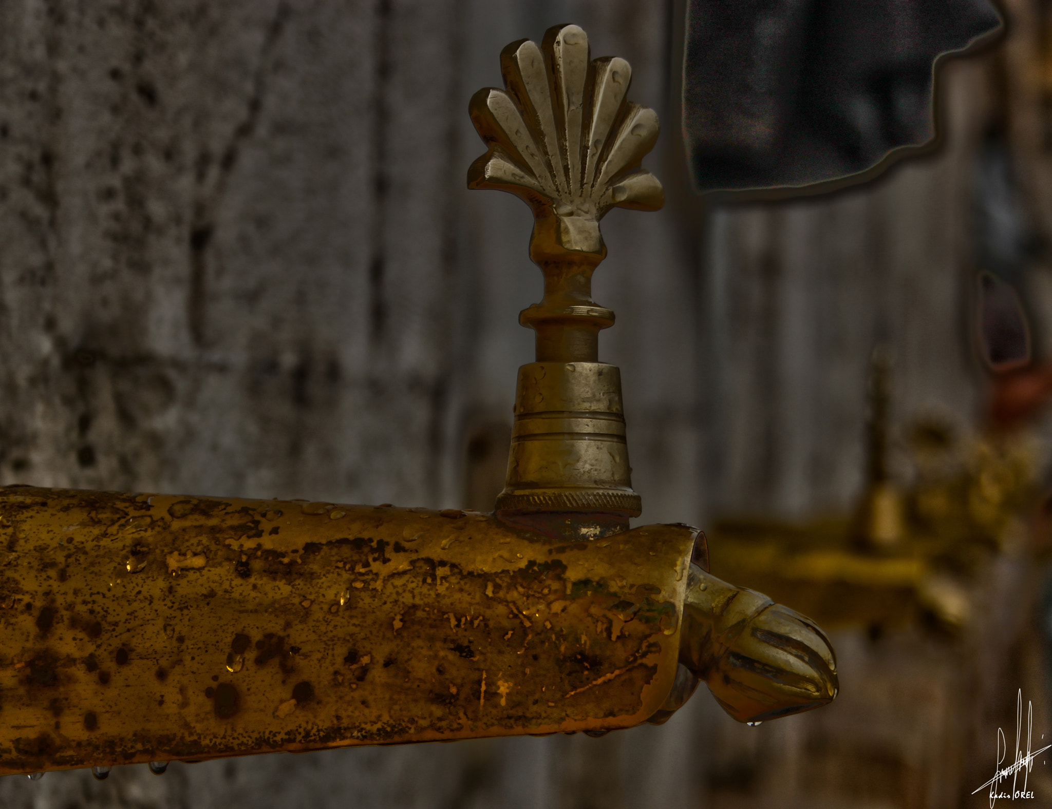 Canon EOS 500D (EOS Rebel T1i / EOS Kiss X3) sample photo. Kadir örel () photography