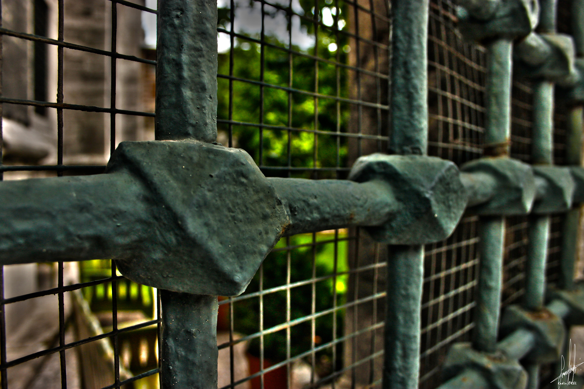 Canon EOS 500D (EOS Rebel T1i / EOS Kiss X3) sample photo. Kadir örel () photography