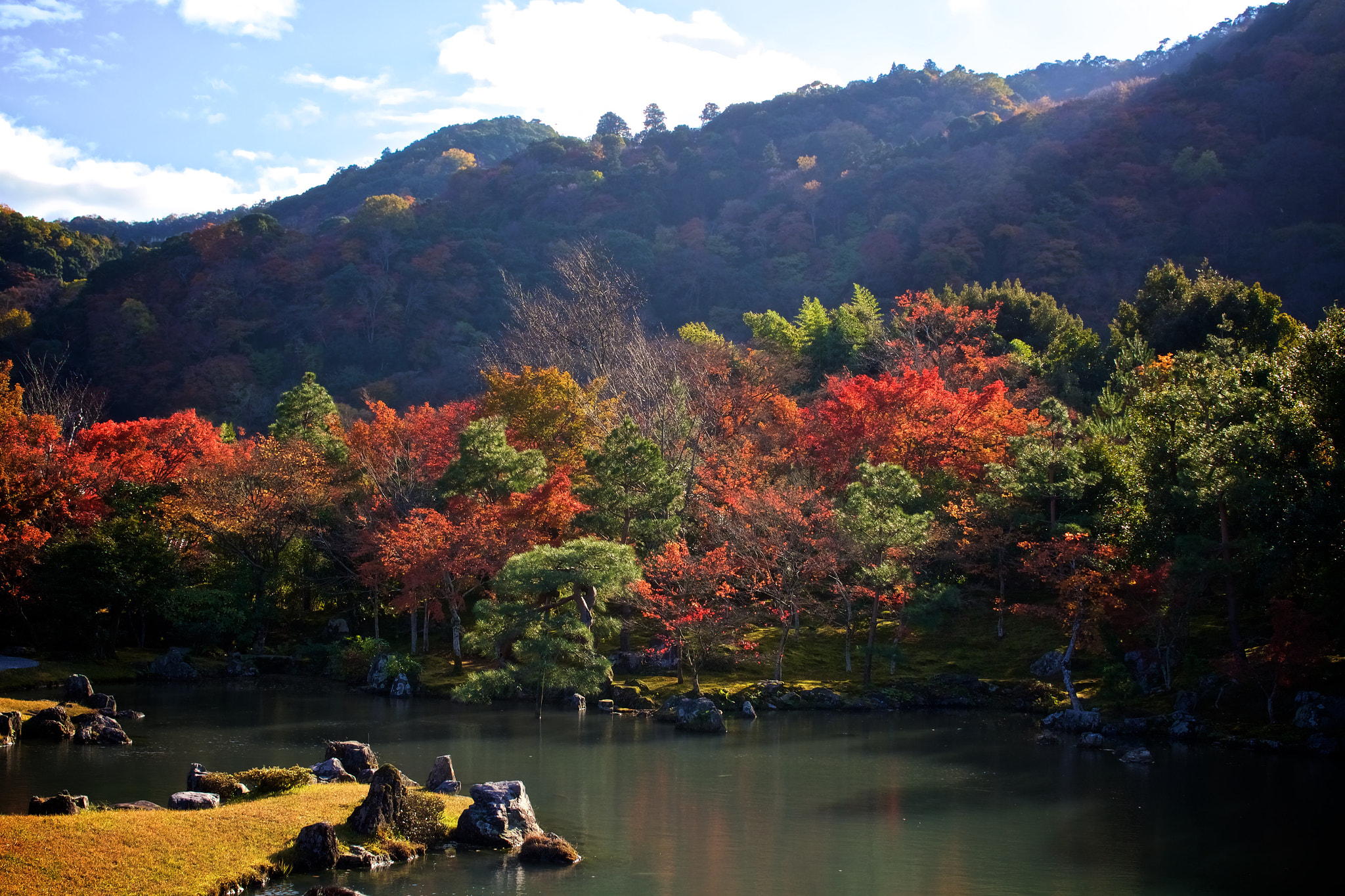 Canon EOS M2 sample photo. Arashiyama autumn leaves photography