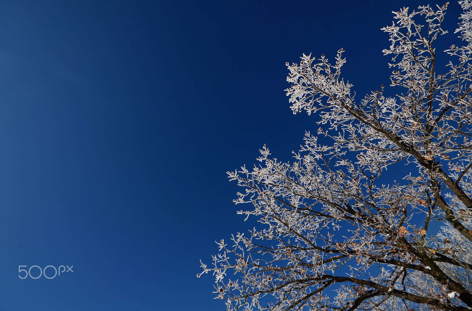 AF Zoom-Nikkor 28-100mm f/3.5-5.6G sample photo. Snow white photography