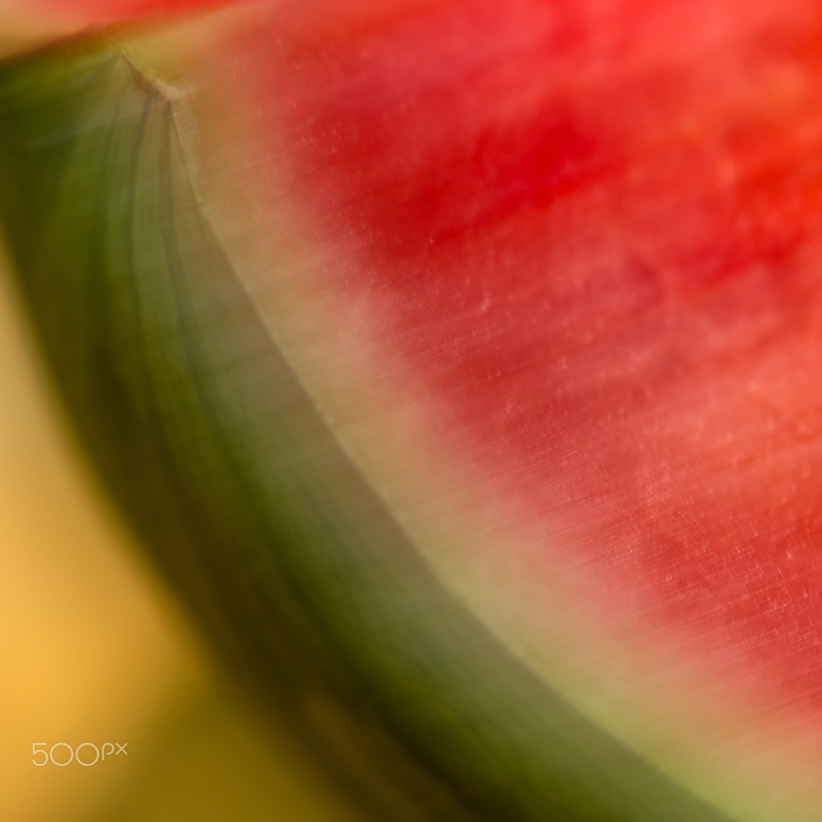 Canon EOS 6D + Canon EF 100mm F2.8 Macro USM sample photo. Melon colors 2 photography