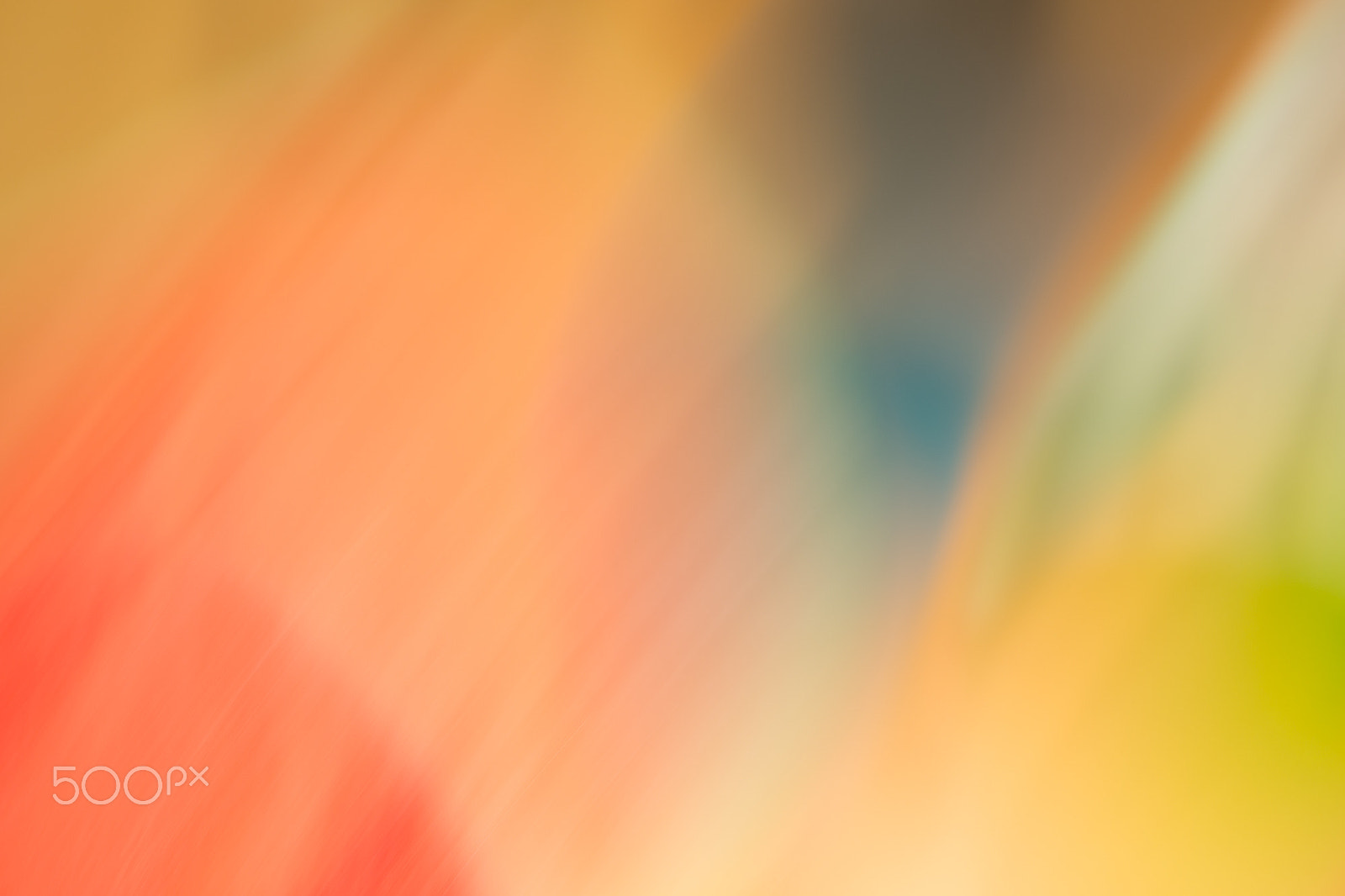 Canon EOS 6D + Canon EF 100mm F2.8 Macro USM sample photo. Melon colors 1 photography