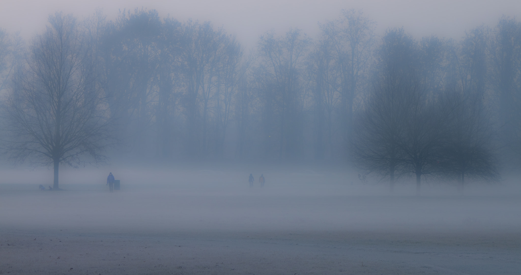 Sigma 18-125mm F3.8-5.6 DC OS HSM sample photo. Foggy morning photography
