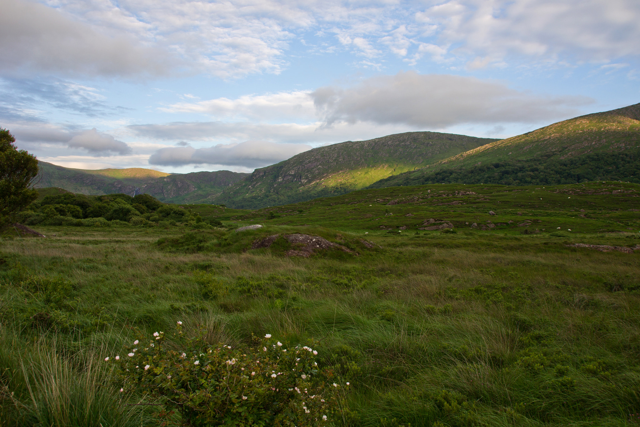 Sony Alpha DSLR-A500 + Tamron AF 28-105mm F4-5.6 [IF] sample photo. Sunrise at uragh photography