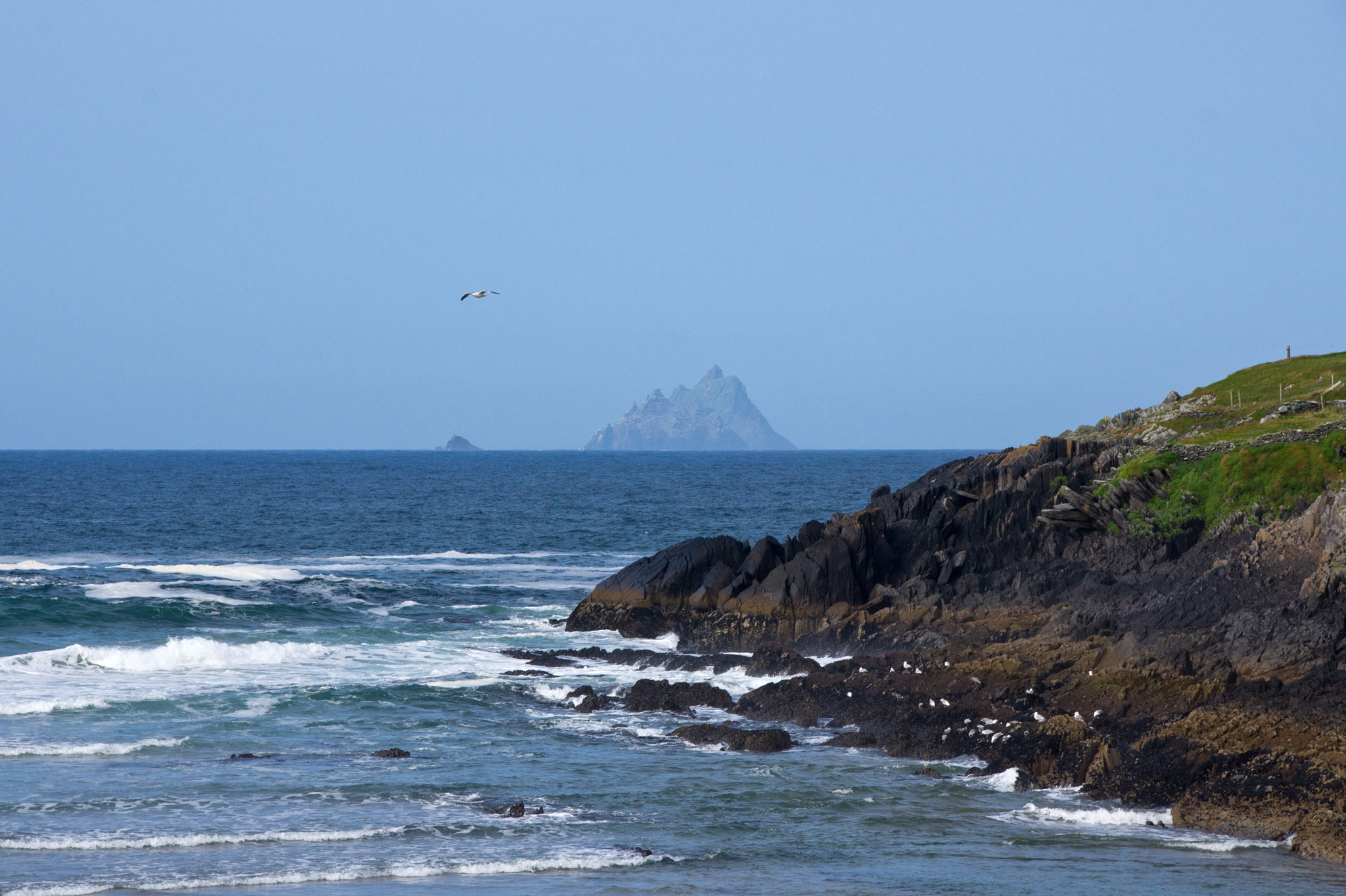 Sony Alpha DSLR-A500 sample photo. Skelligs photography