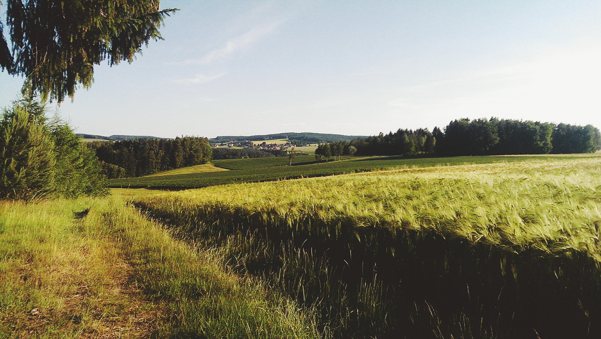 HTC ONE MINI sample photo. One of these days photography