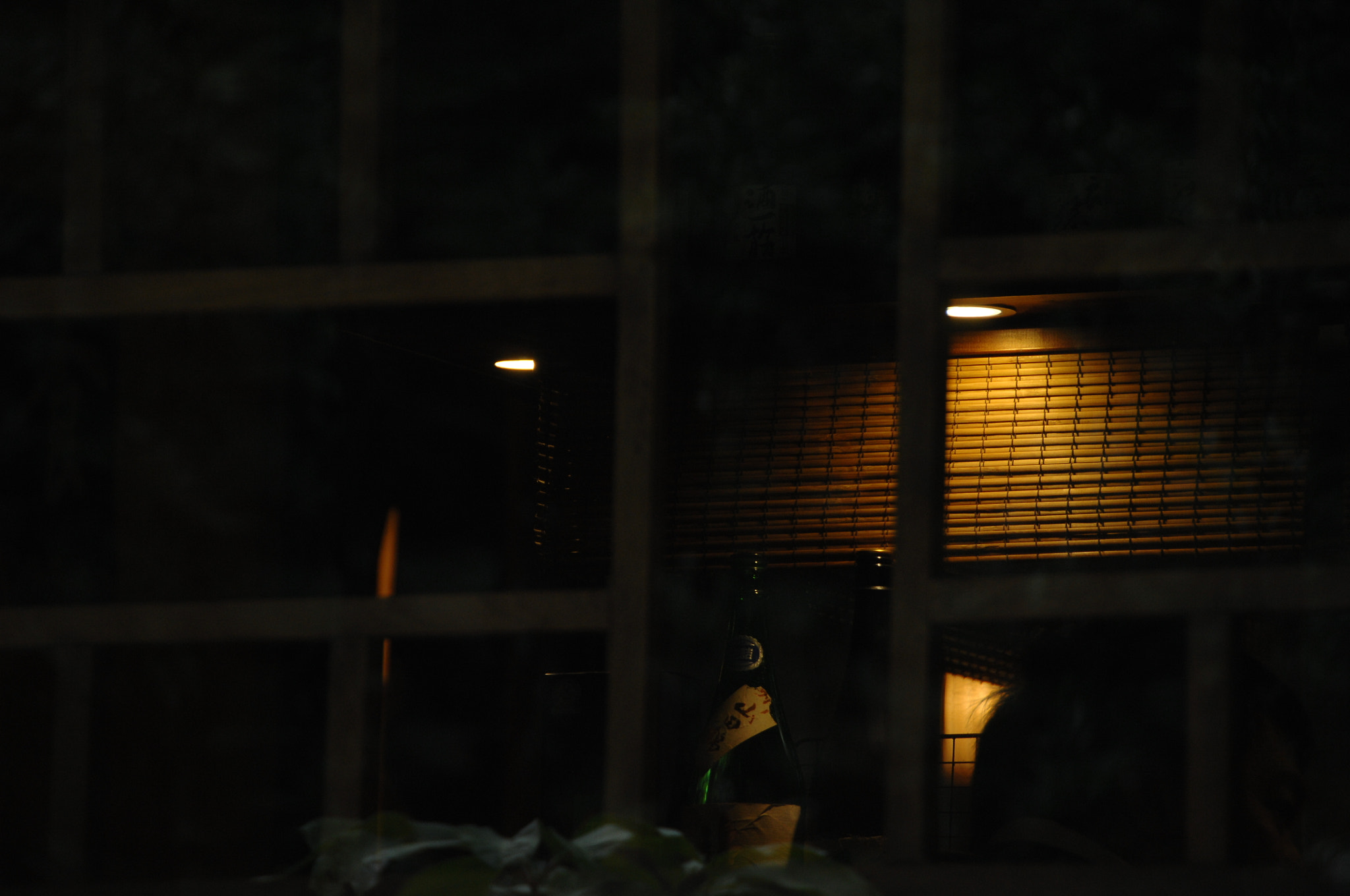 Nikon D2X sample photo. .. photography