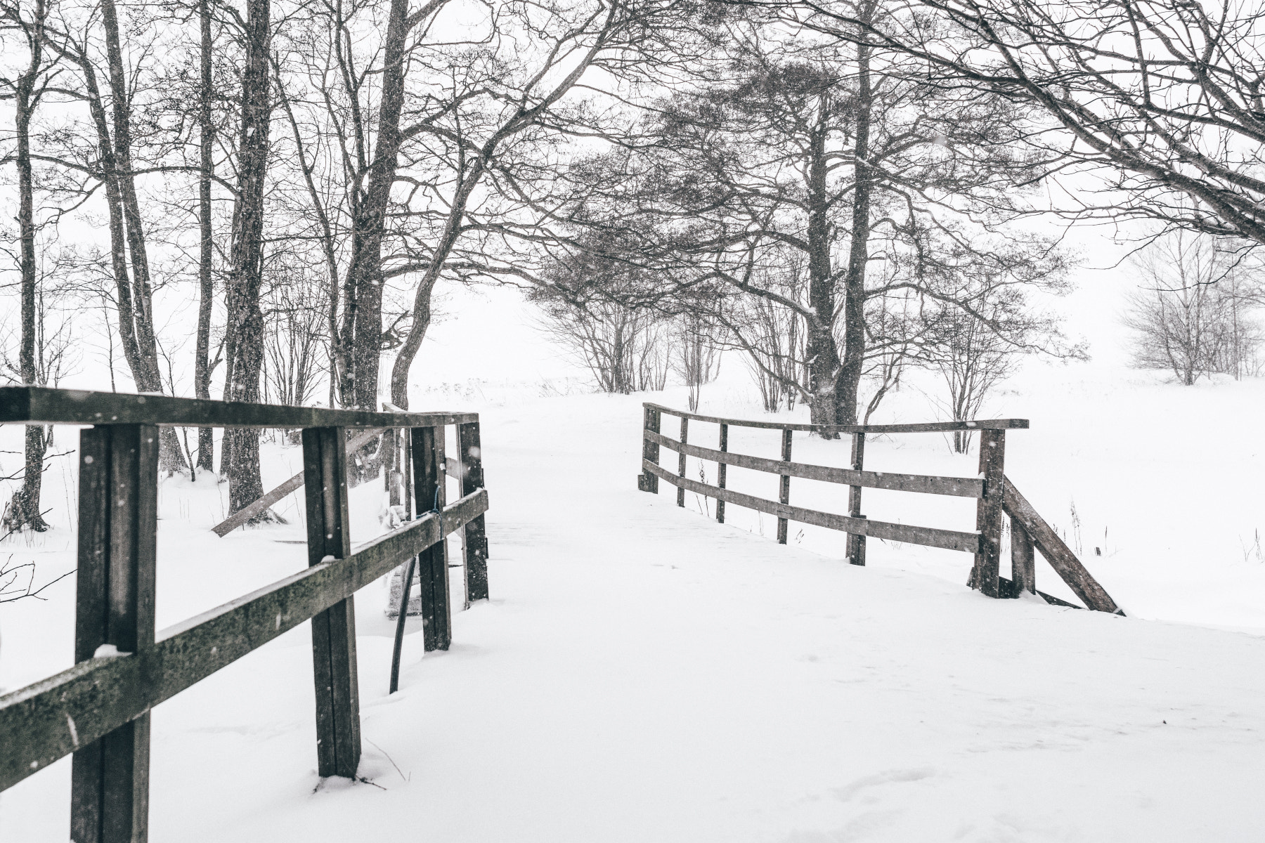 Nikon D7100 + Nikon AF Nikkor 24mm F2.8D sample photo. Snow in helsinki photography