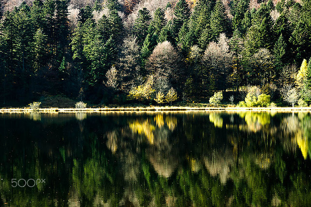 Sony SLT-A65 (SLT-A65V) sample photo. Lac vert photography
