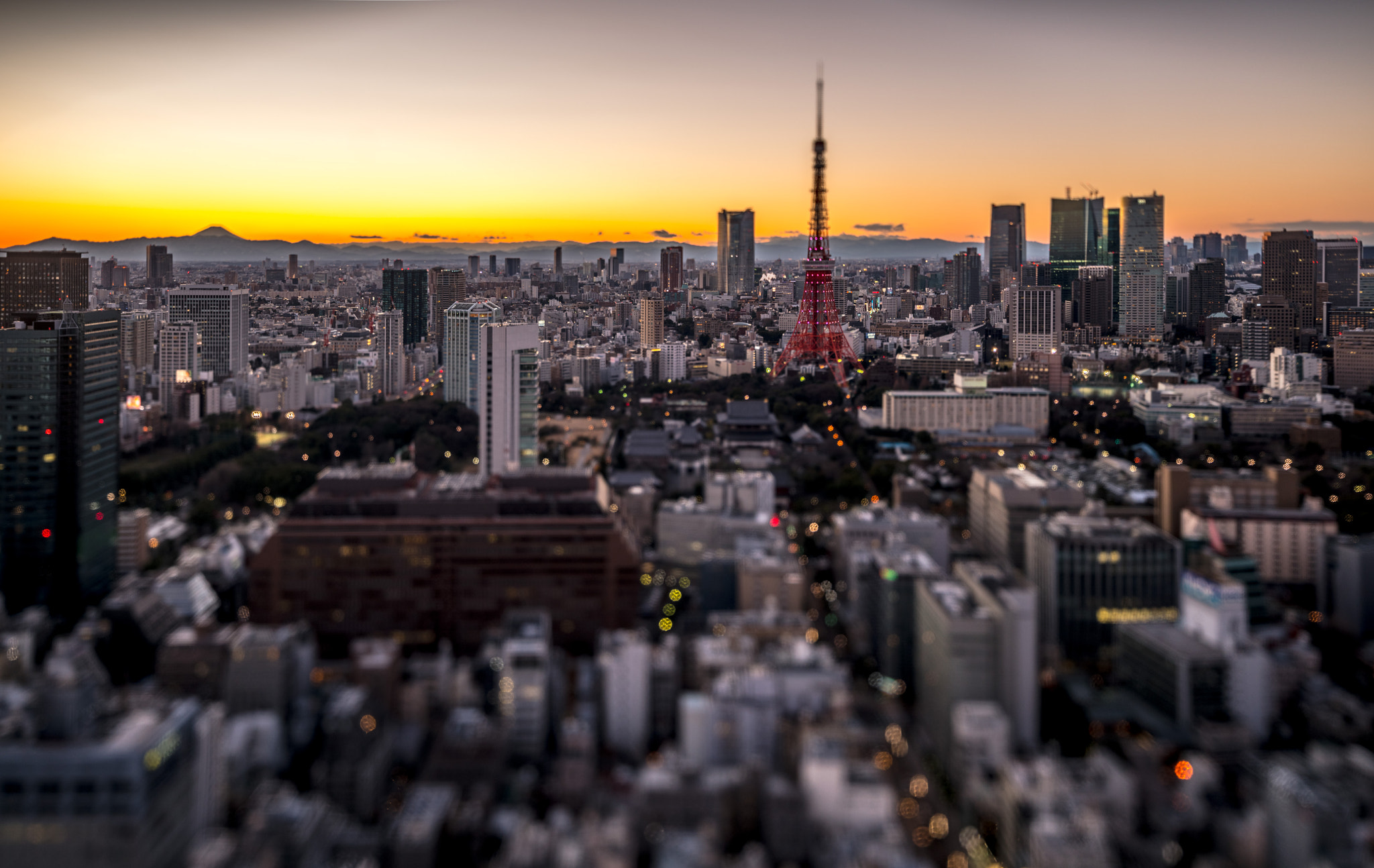 Canon TS-E 24.0mm f/3.5 L II sample photo. City of lights photography
