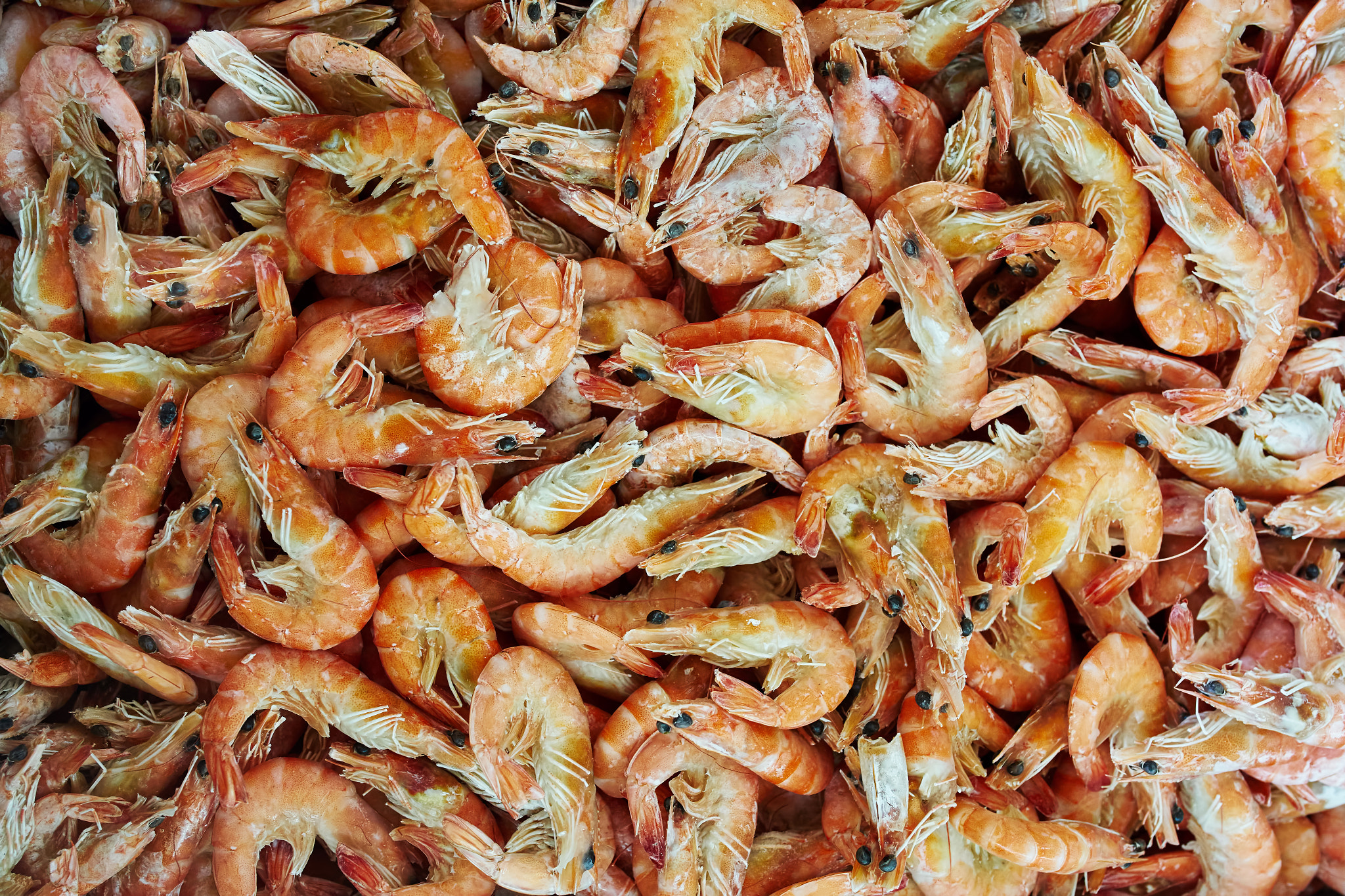 Sony a7 + 35mm F1.4 sample photo. Shrimp in a supermarket photography