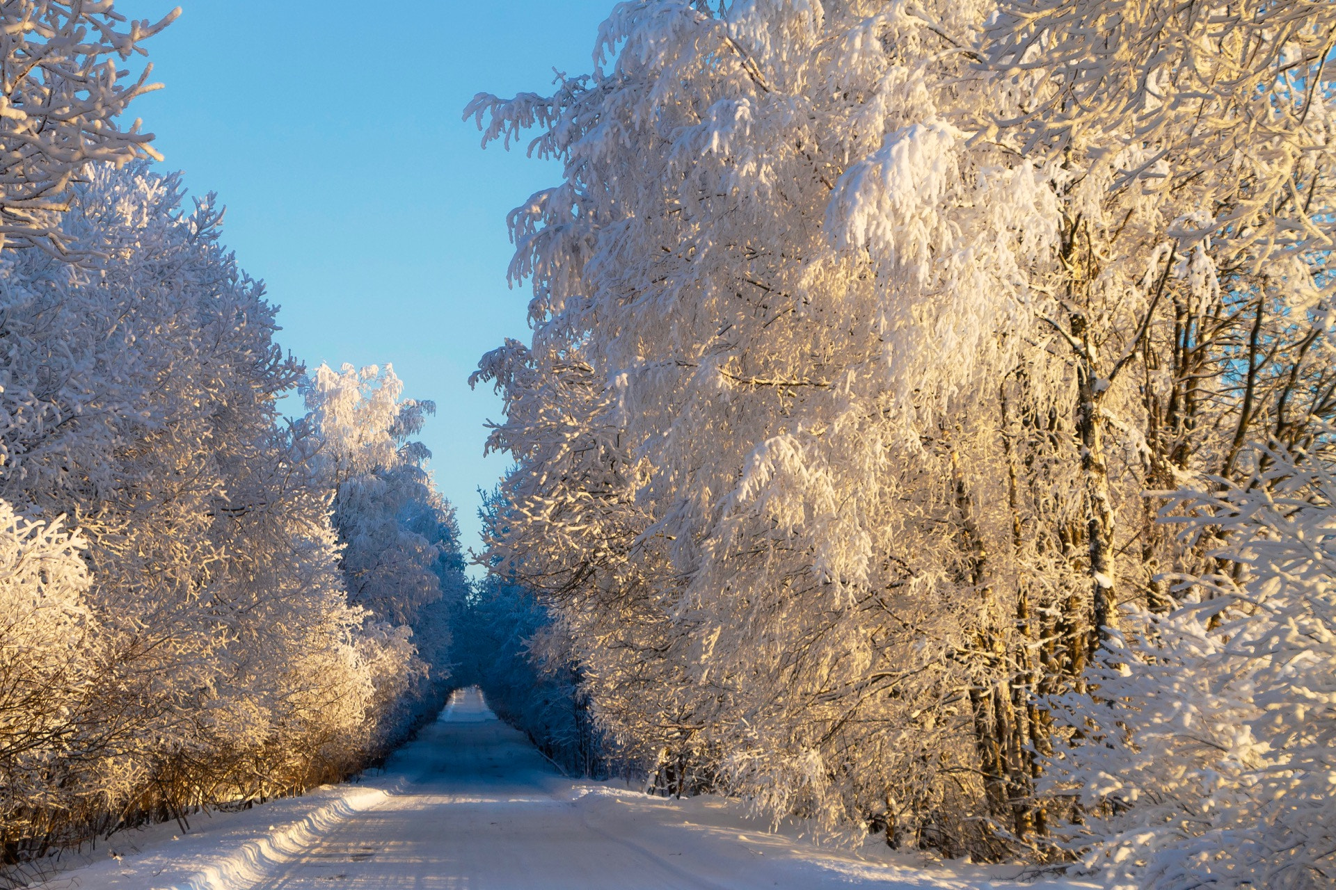 Canon EF-S 18-135mm F3.5-5.6 IS STM sample photo. Winter roads i photography