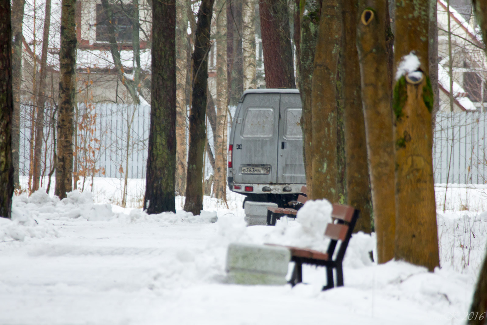 Canon EOS 550D (EOS Rebel T2i / EOS Kiss X4) + Canon EF 100-300mm f/5.6 sample photo. Оттепель в январе photography