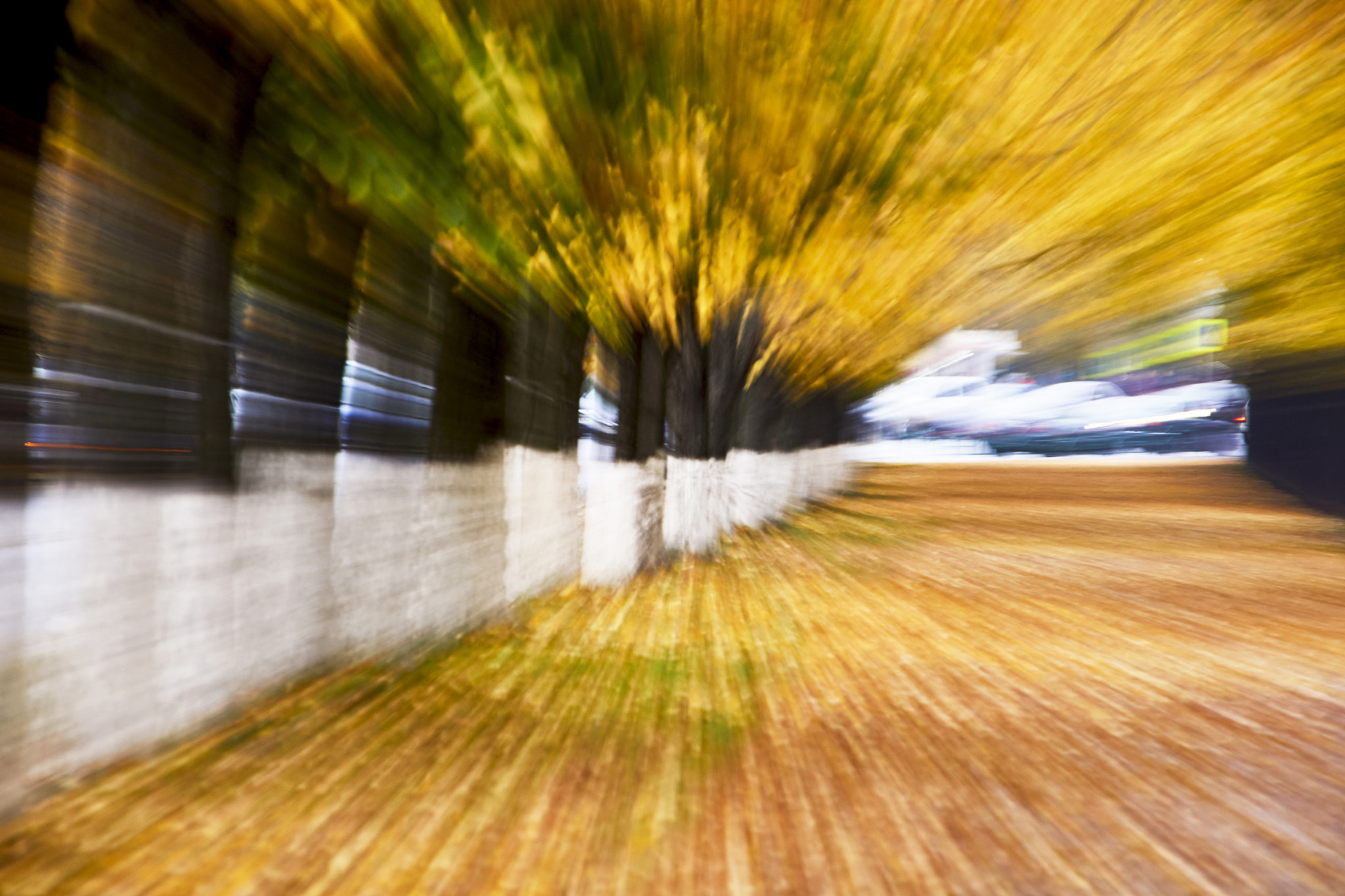 Sony Alpha NEX-7 + Sony E PZ 18-200mm F3.5-6.3 OSS sample photo. Autumn alley abstraction photography