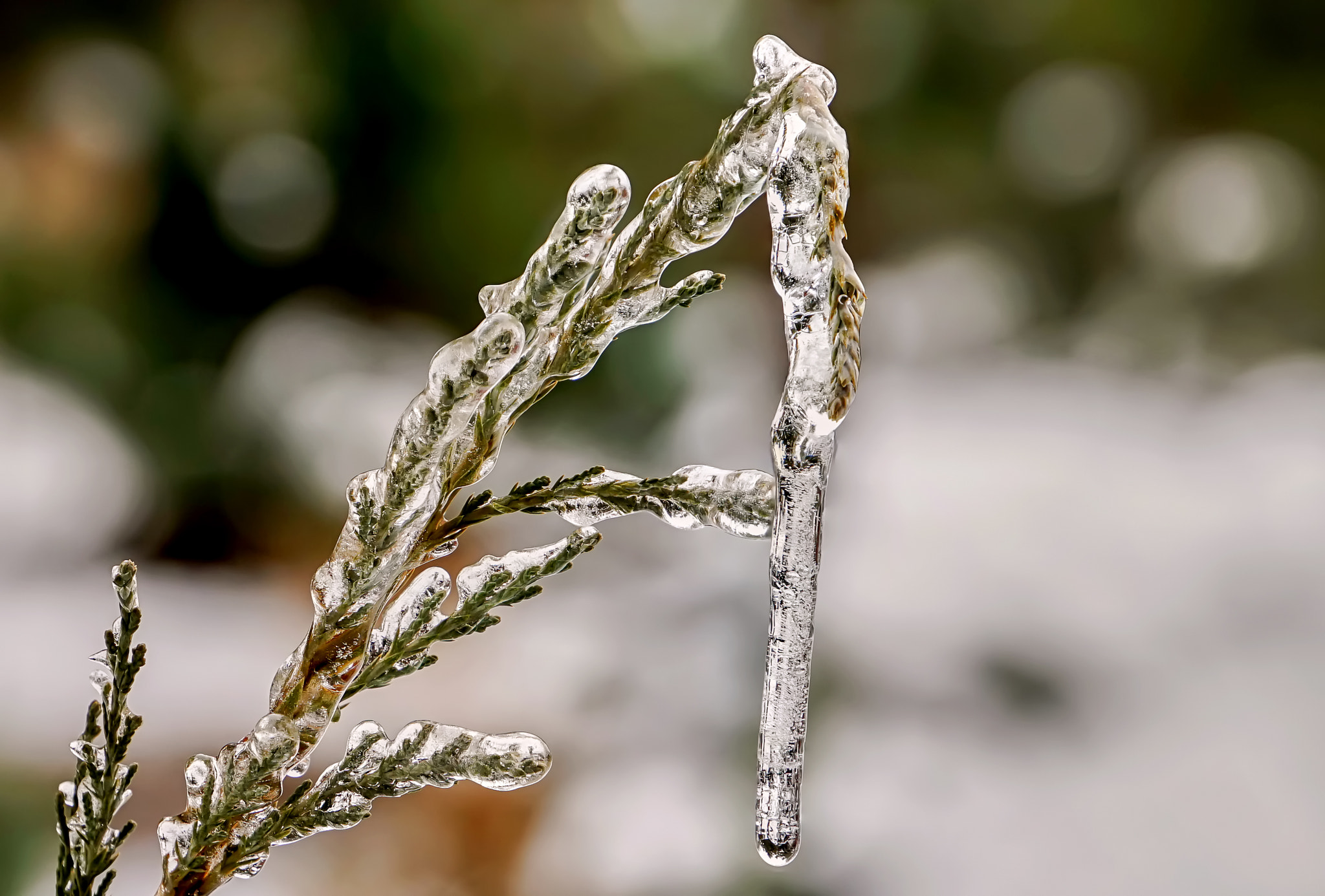 Sony E PZ 18-200mm F3.5-6.3 OSS sample photo. Big icicle photography