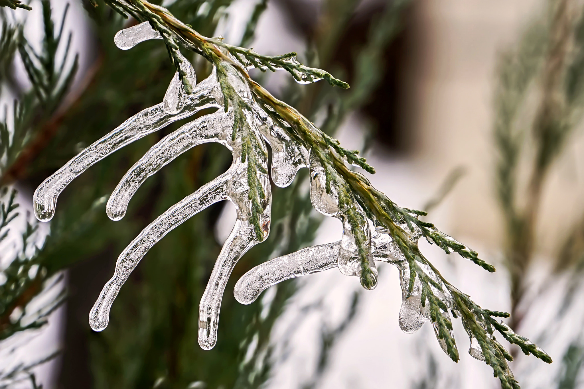 Sony E PZ 18-200mm F3.5-6.3 OSS sample photo. Big icicles photography