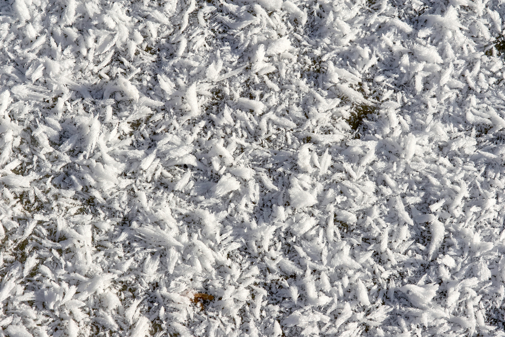 Tamron SP AF 90mm F2.8 Di Macro sample photo. Frozen snow photography