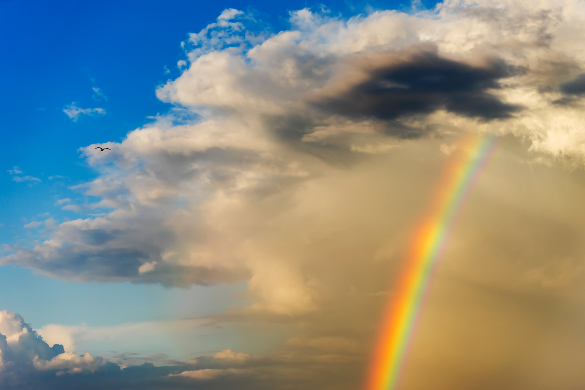 Sony 70-400mm F4-5.6 G SSM II sample photo. Rainbow photography