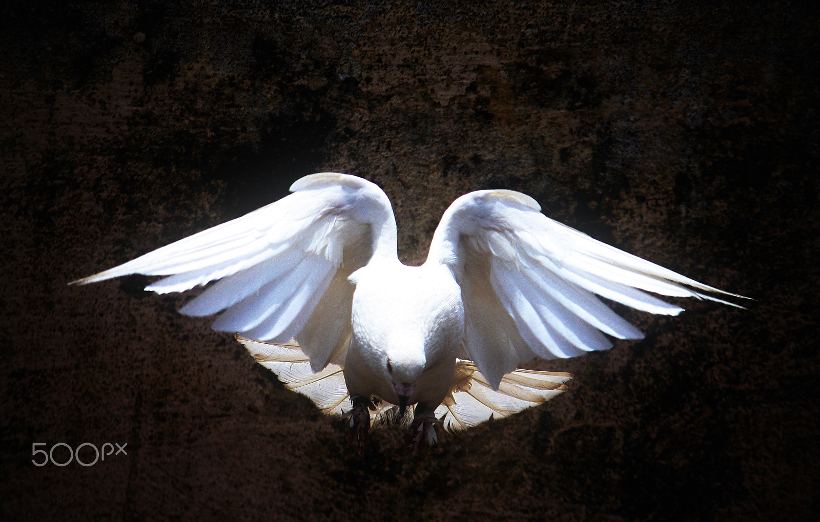 Canon EF-S 55-250mm F4-5.6 IS II sample photo. Decent from heaven photography