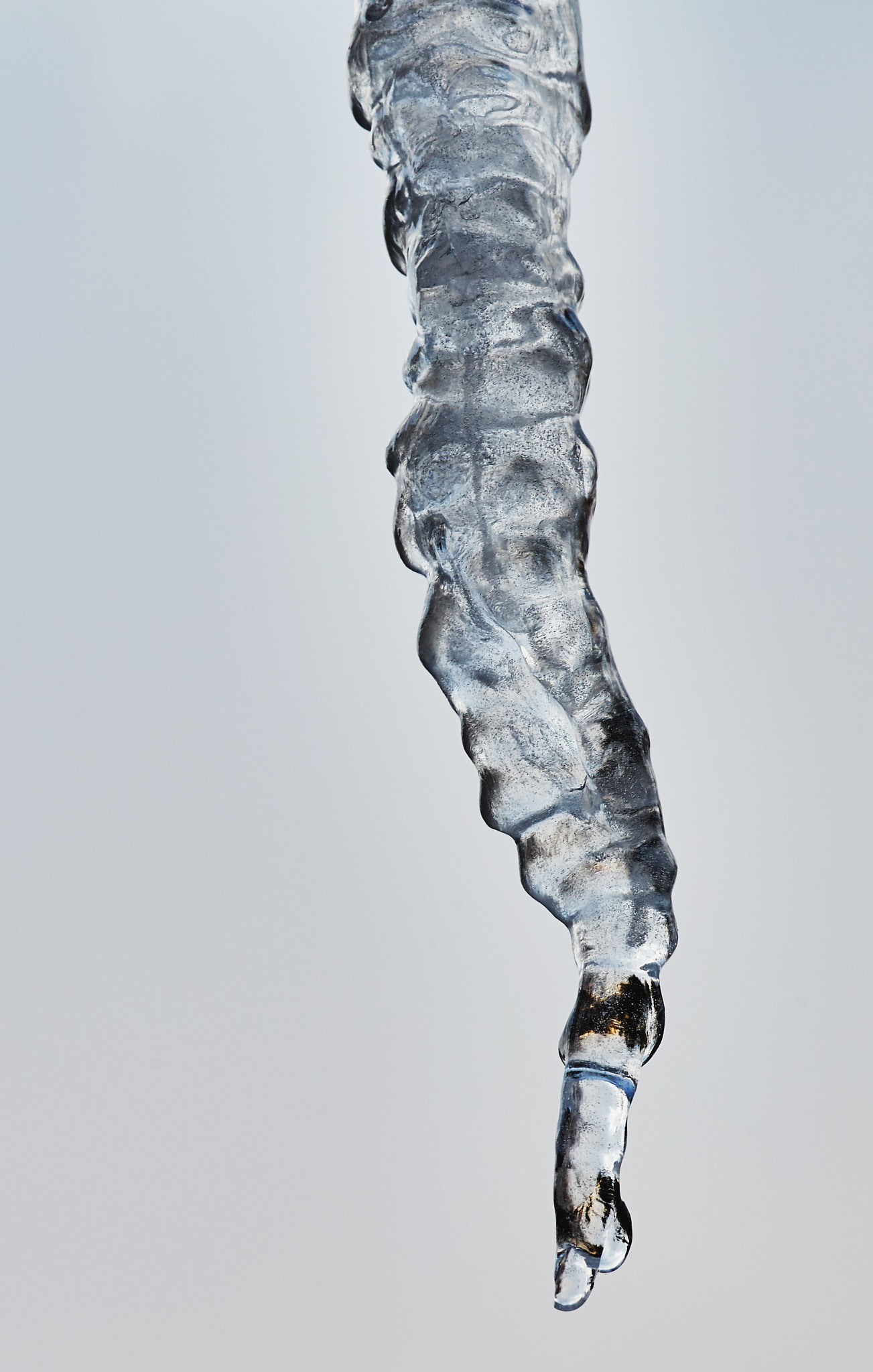 Sony a7 + Tamron SP AF 90mm F2.8 Di Macro sample photo. Large icicle in december2 photography