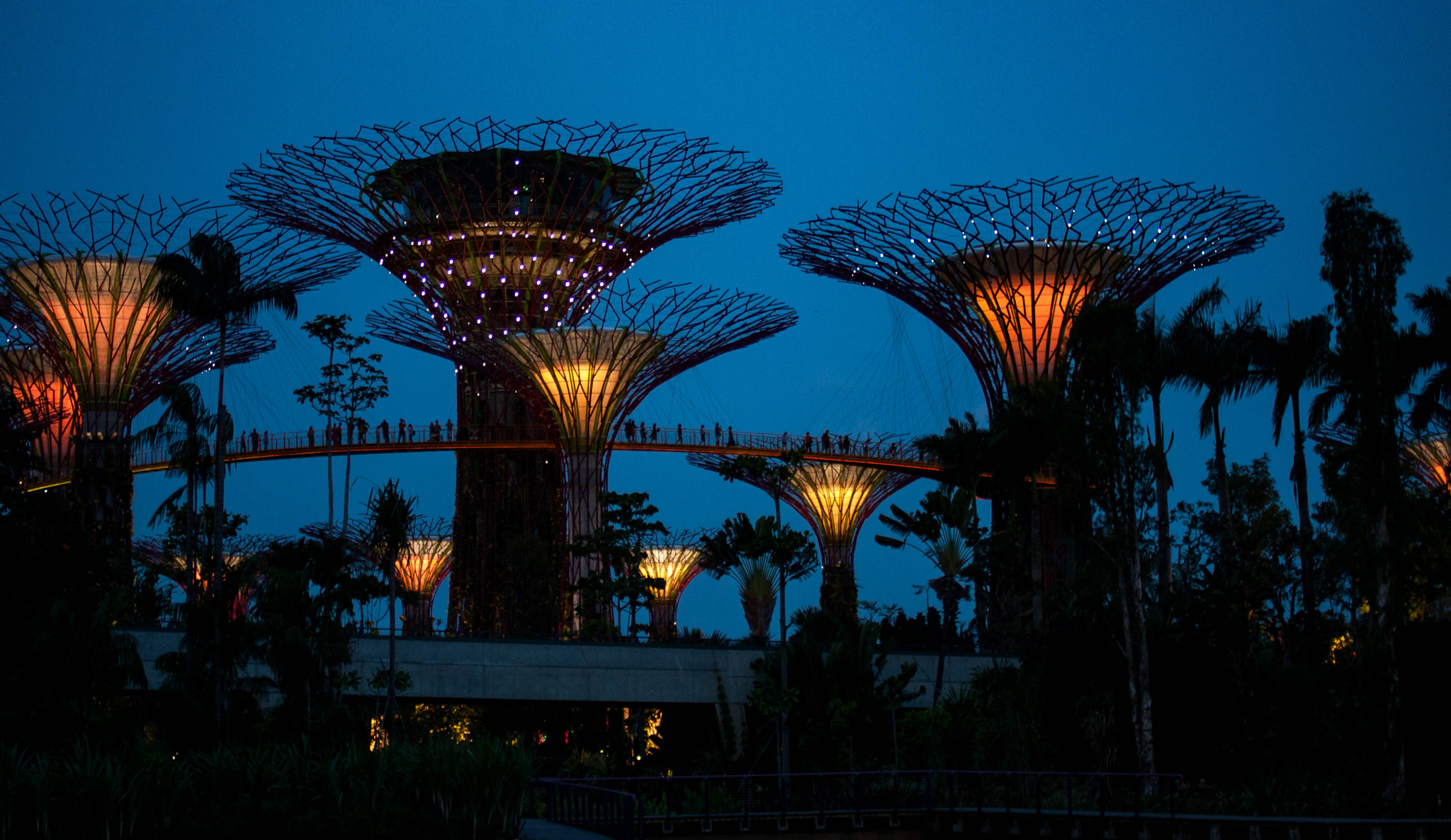 Canon EOS 40D + Canon EF 35mm F2 sample photo. Garden by the bay photography