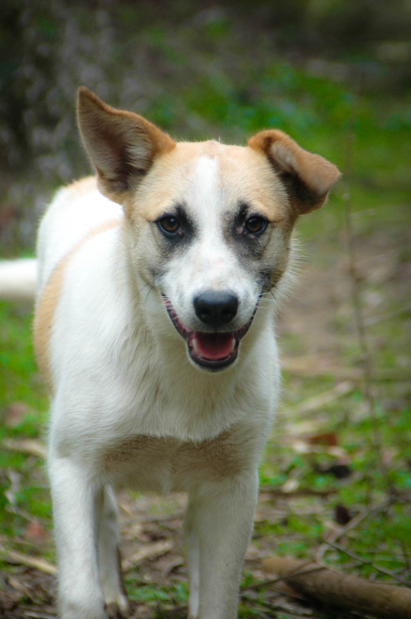 Nikon D70s sample photo. Lovely smile photography