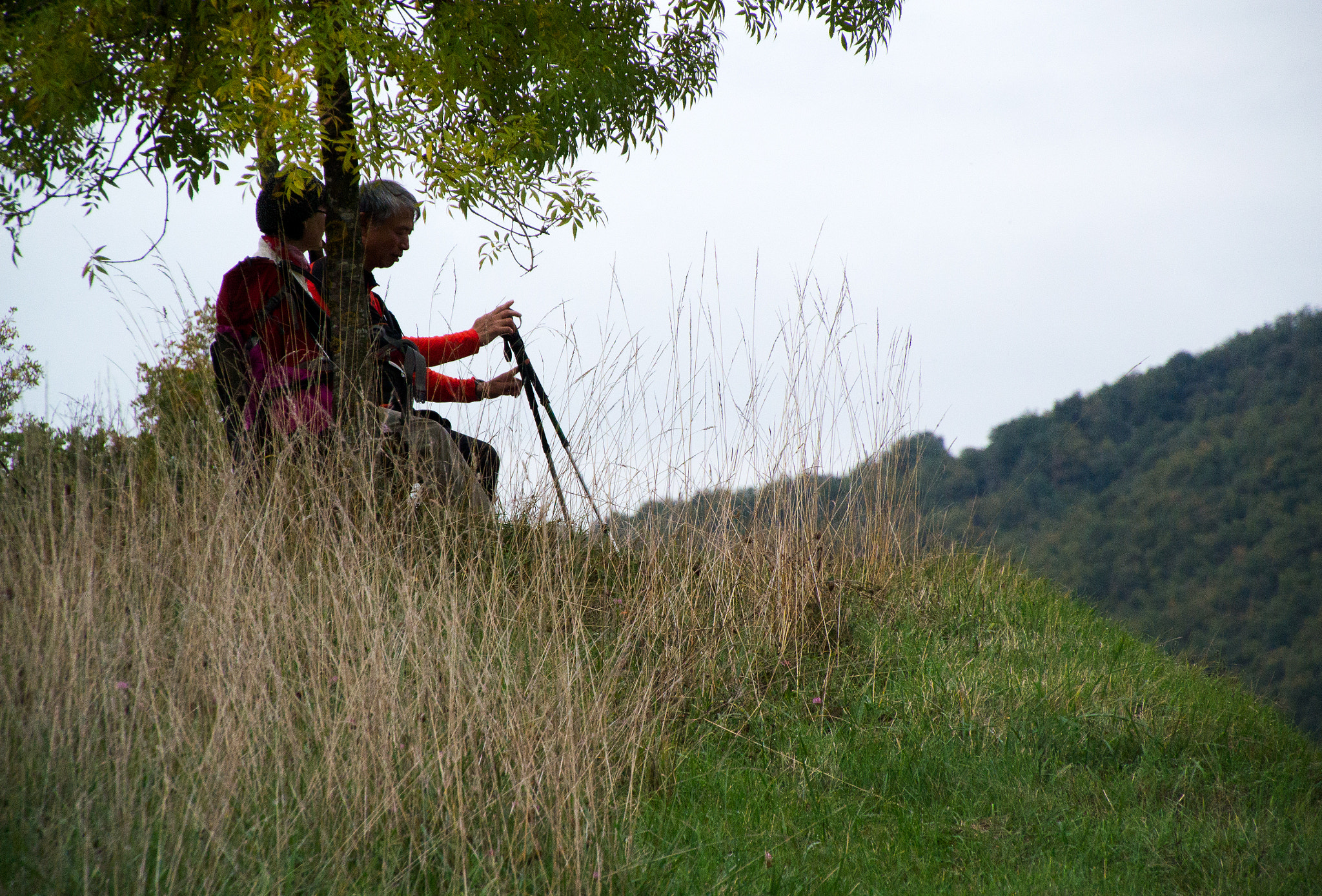 Nikon 1 V2 sample photo. Camino photography