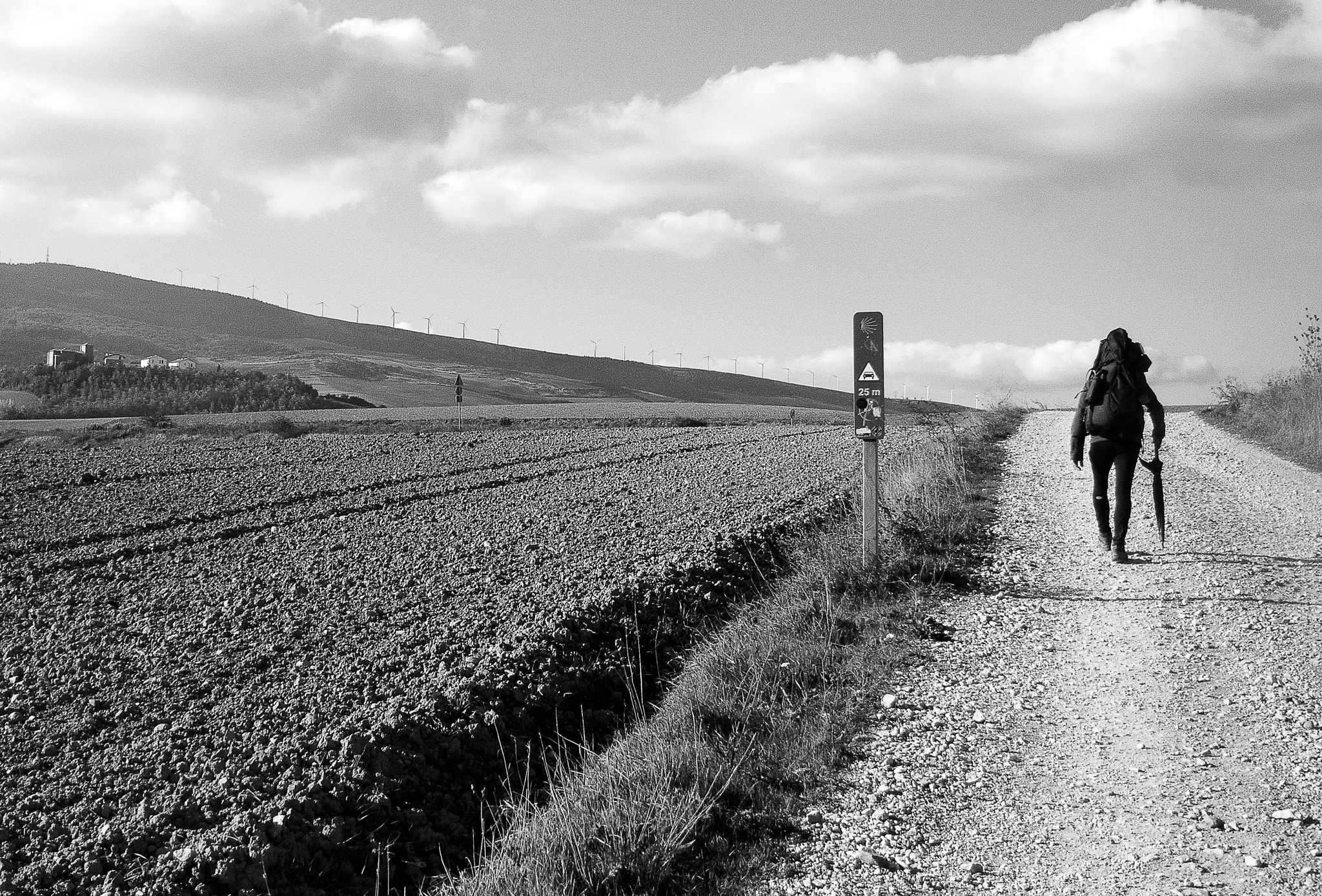 1 NIKKOR VR 10-100mm f/4-5.6 sample photo. Camino photography