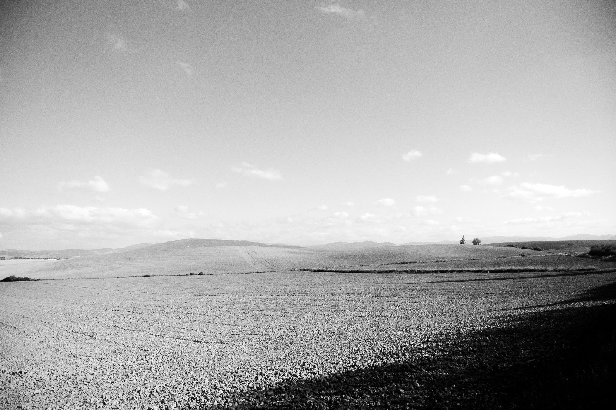 1 NIKKOR VR 10-100mm f/4-5.6 sample photo. Camino photography