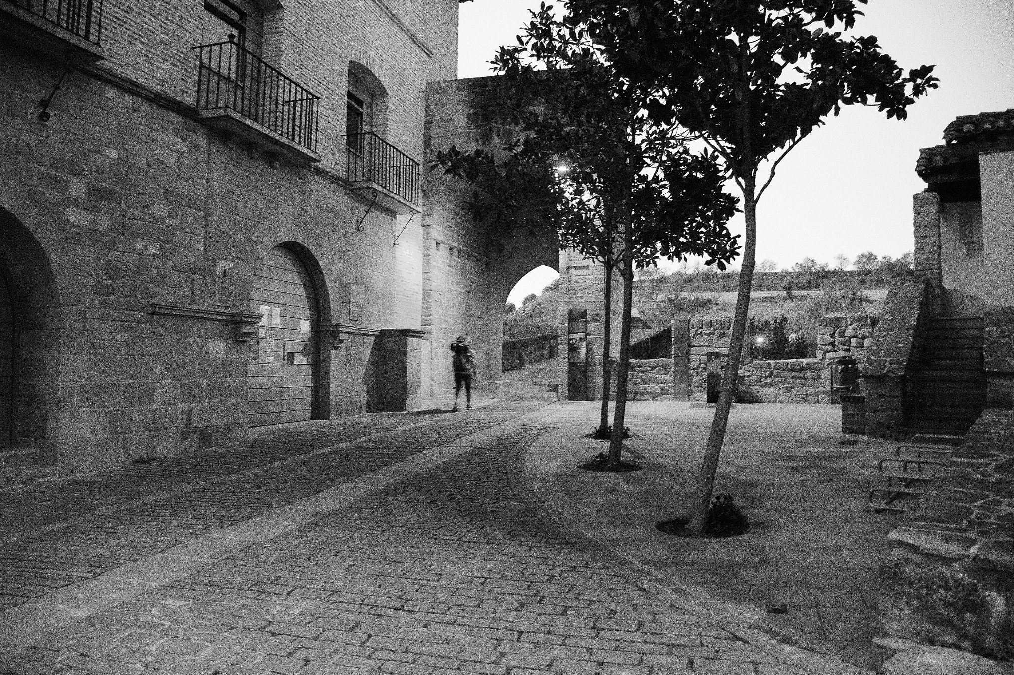 1 NIKKOR VR 10-100mm f/4-5.6 sample photo. Camino photography