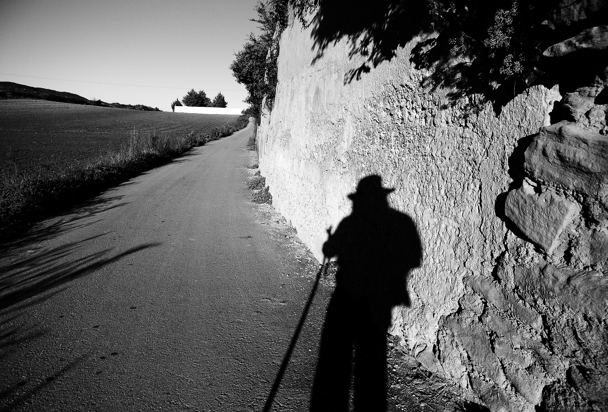 1 NIKKOR VR 10-100mm f/4-5.6 sample photo. Camino photography