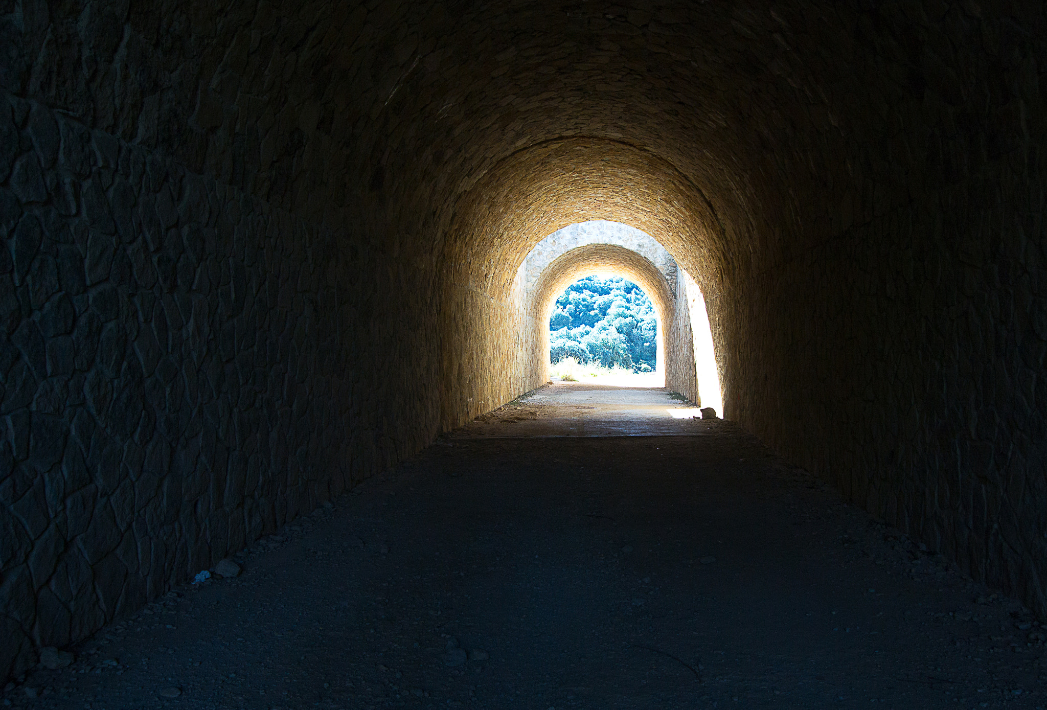 1 NIKKOR VR 10-100mm f/4-5.6 sample photo. Camino photography
