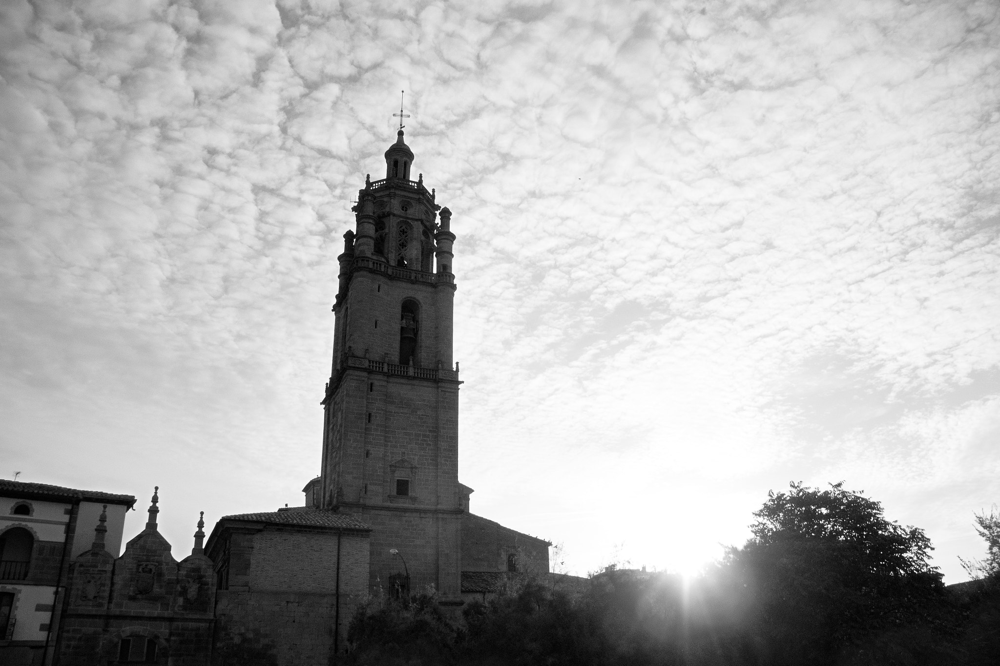 1 NIKKOR VR 10-100mm f/4-5.6 sample photo. Camino photography