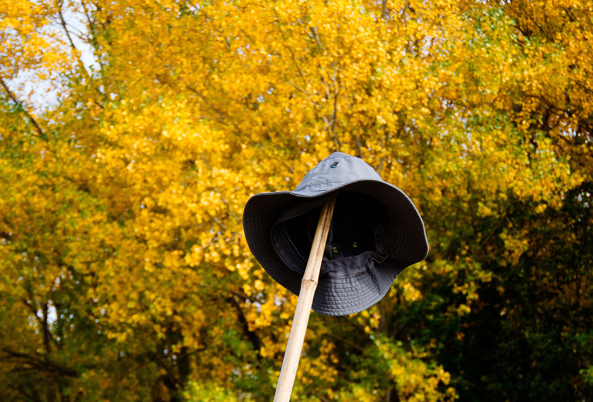1 NIKKOR VR 10-100mm f/4-5.6 sample photo. Camino photography