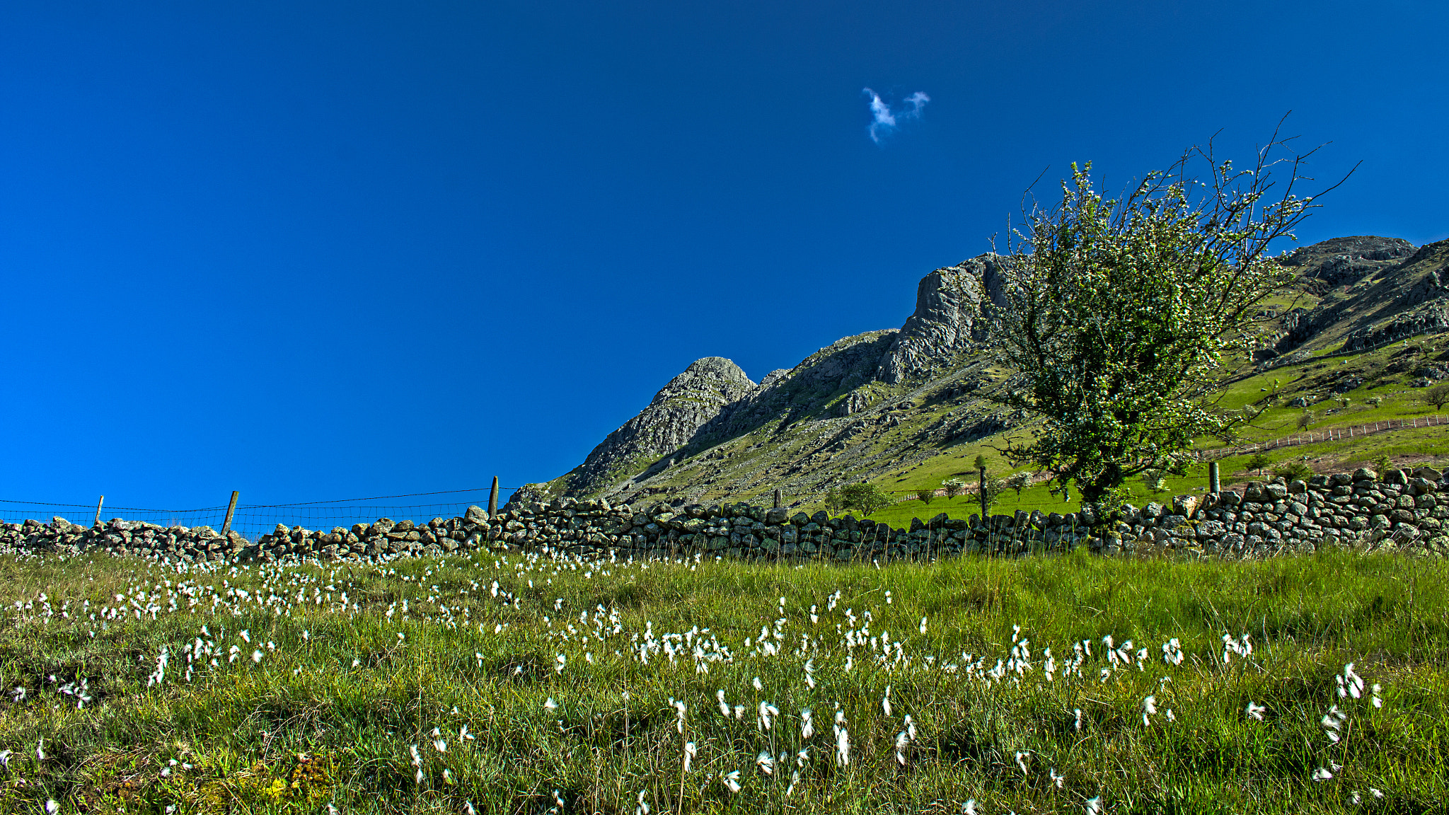 Canon EF-S 18-55mm F3.5-5.6 sample photo. Pike o stickle photography
