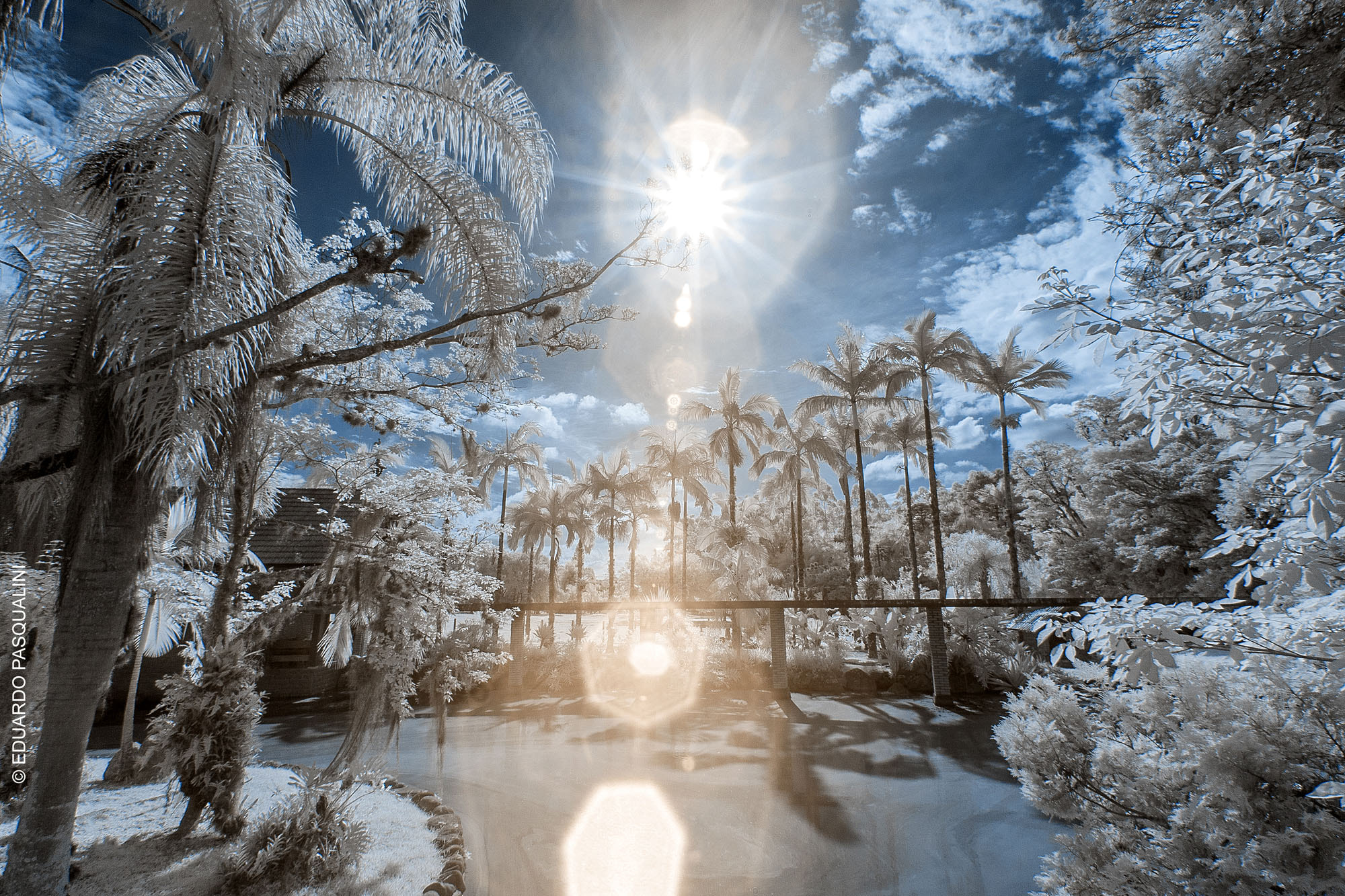 Canon EOS 30D + Sigma 10-20mm F3.5 EX DC HSM sample photo. Infrared flare photography