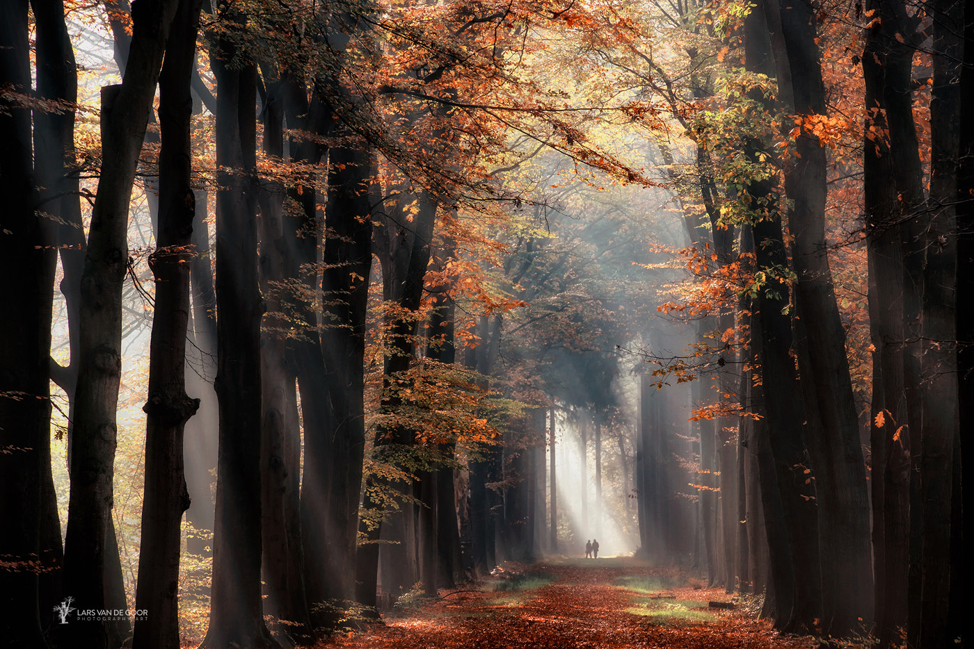 In The Spotlight By Lars Van De Goor Photo 137854183 500px