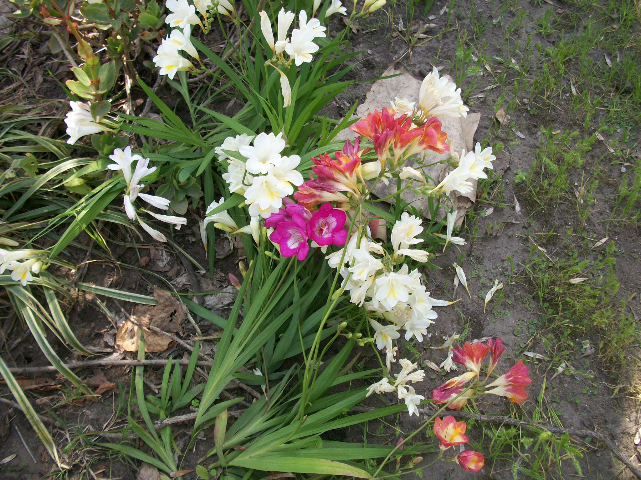 Kodak EASYSHARE M340 DIGITAL CAMERA sample photo