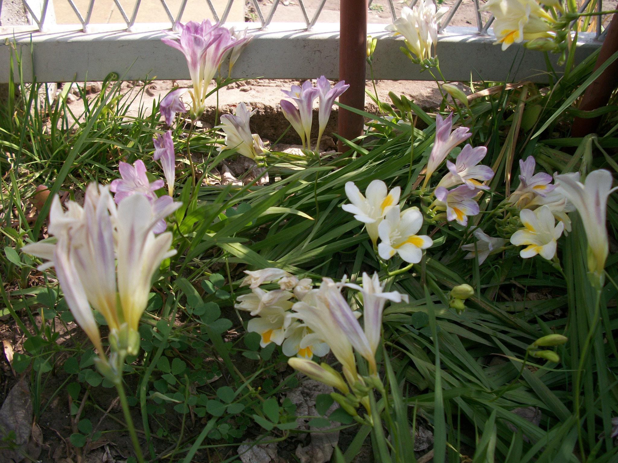 Kodak EASYSHARE M340 DIGITAL CAMERA sample photo