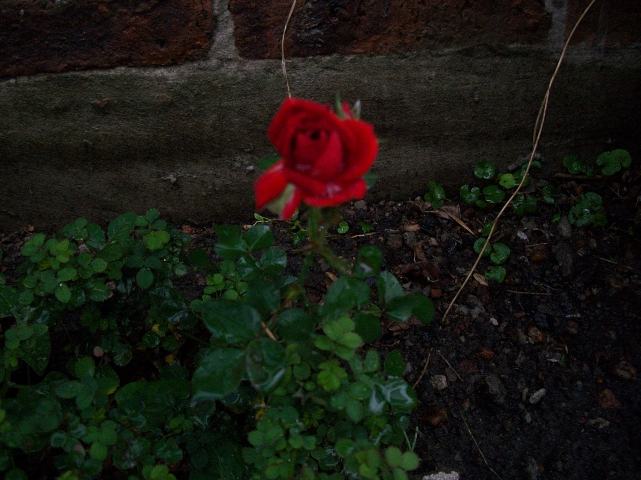 Kodak EASYSHARE M340 DIGITAL CAMERA sample photo