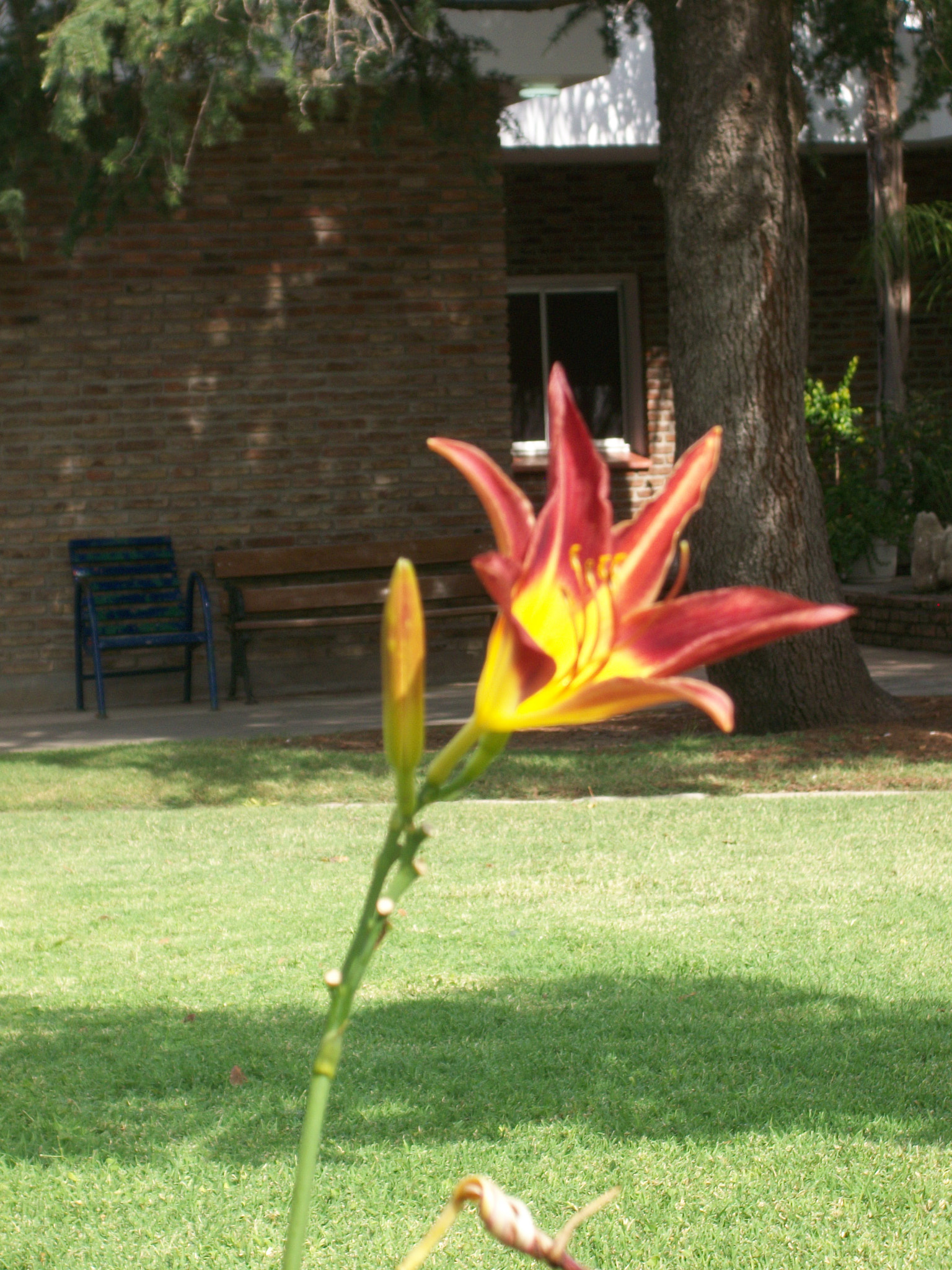 Kodak EASYSHARE M340 DIGITAL CAMERA sample photo
