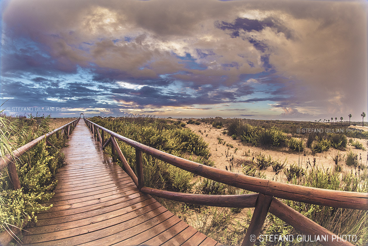 Nikon D600 + Samyang 8mm F3.5 Aspherical IF MC Fisheye sample photo. Camposoto photography