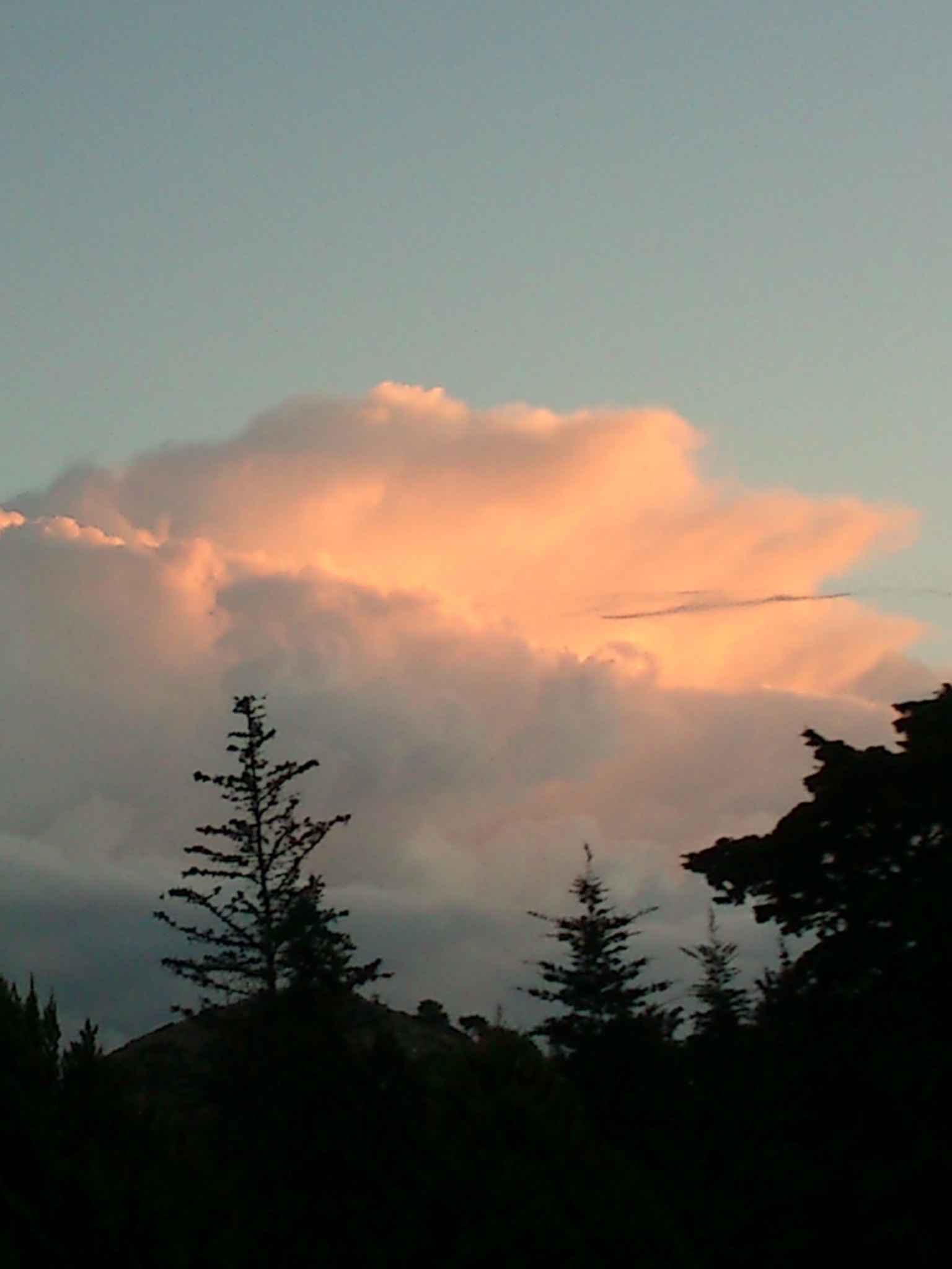 Sony Ericsson Xperia neo V sample photo. 850.jpg photography