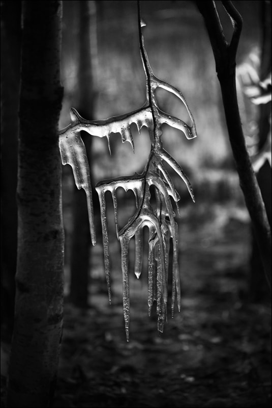 AF Nikkor 50mm f/1.8D + 1.4x sample photo. Icicles photography