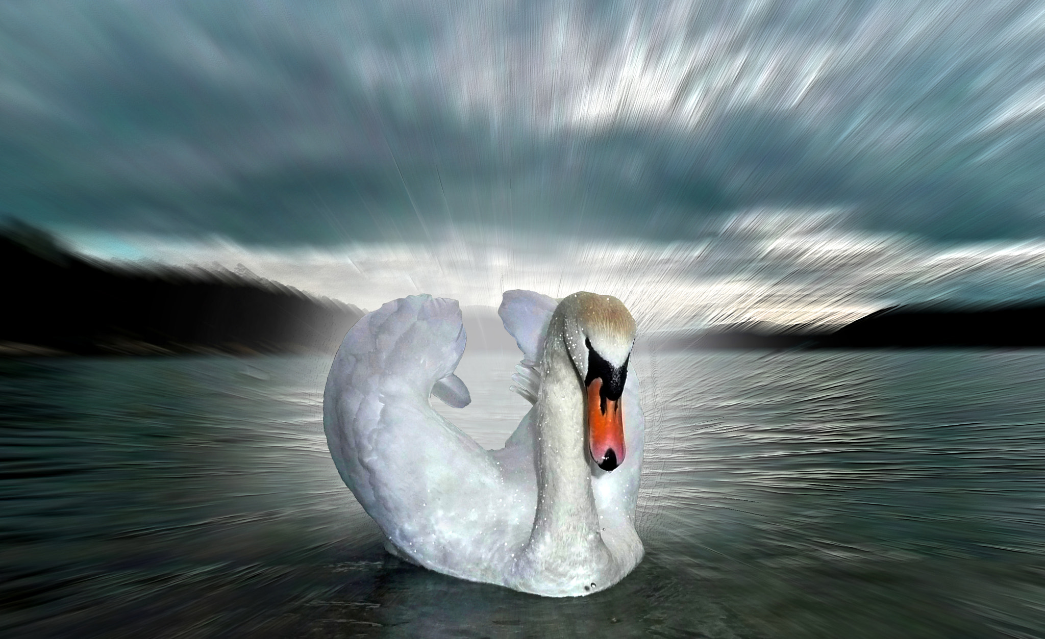 Panasonic DMC-TZ2 sample photo. Swan dream photography