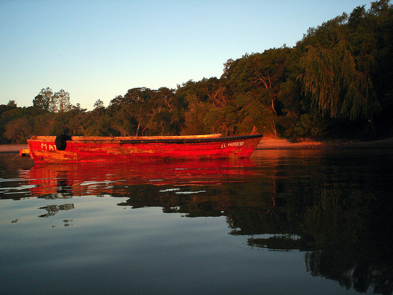 Sony DSC-P41 sample photo. El horacio descansando... photography