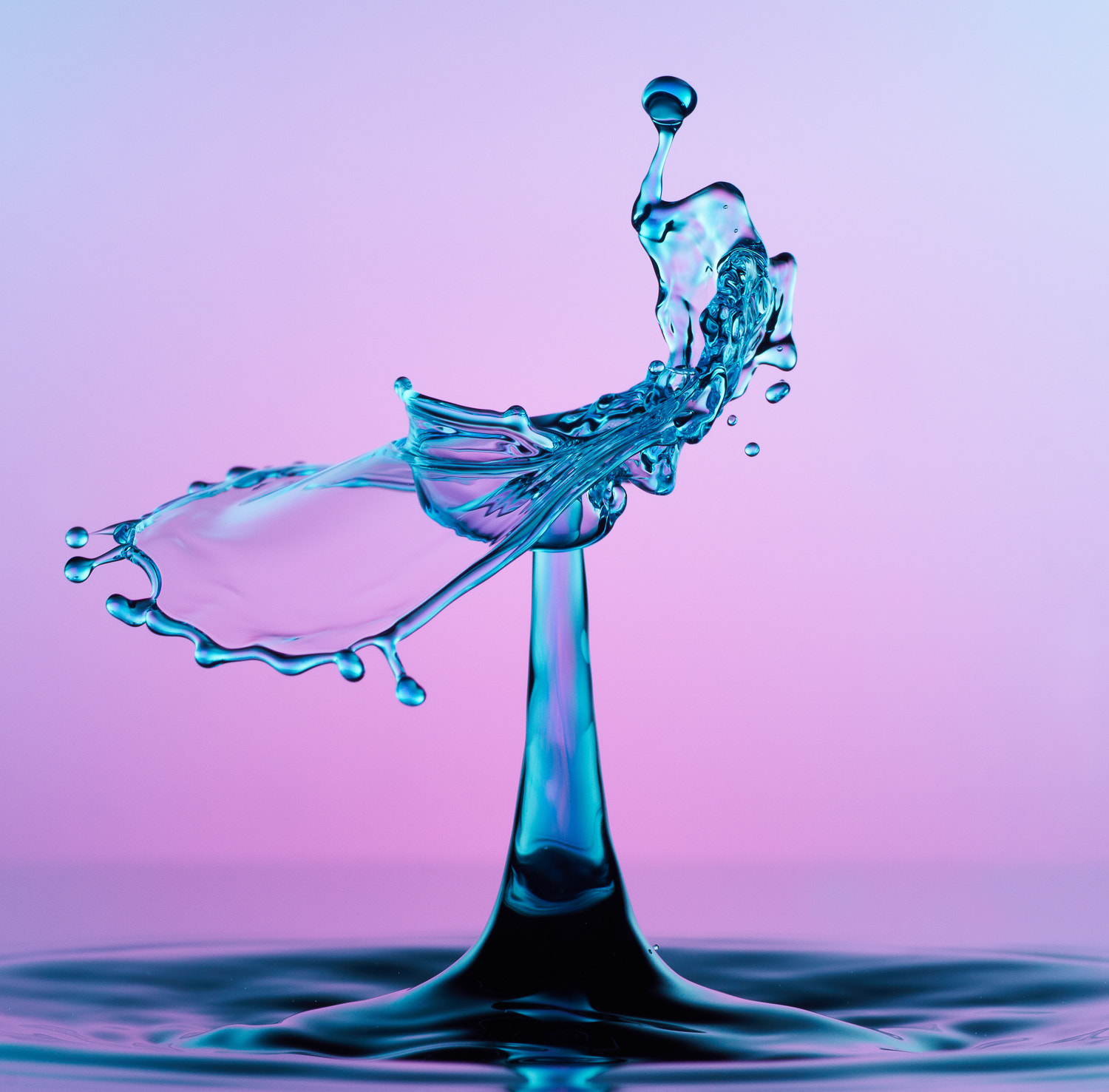 90mm F2.8 sample photo. Collide 41 photography