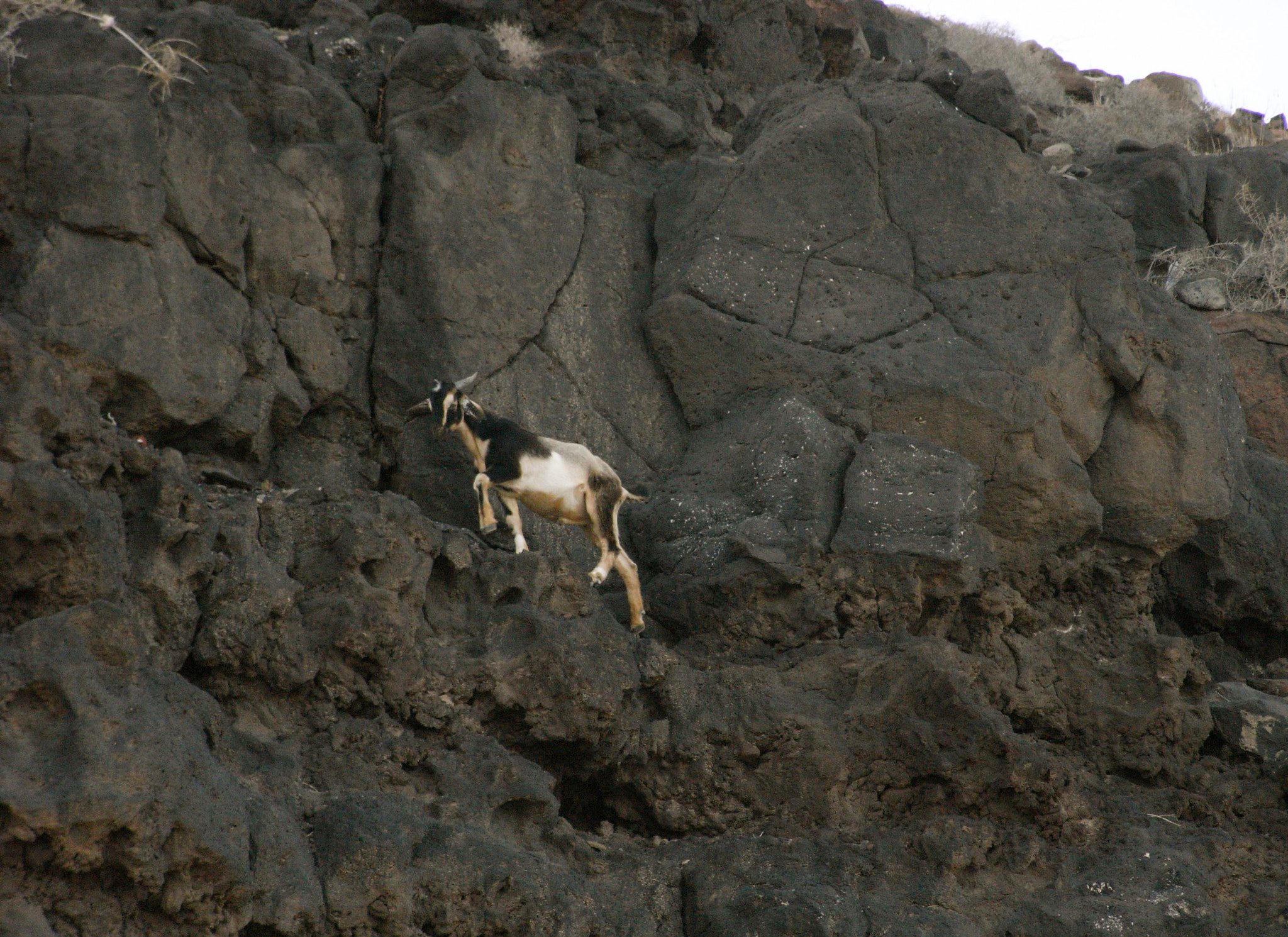 Ricoh Caplio R6 sample photo. On the rocks photography